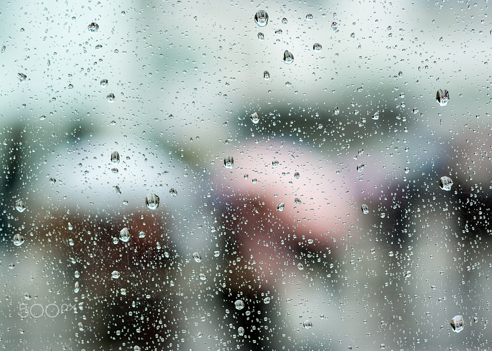 Pentax K10D + Pentax smc DA 70mm F2.4 AL Limited sample photo. Reflections in the rain photography