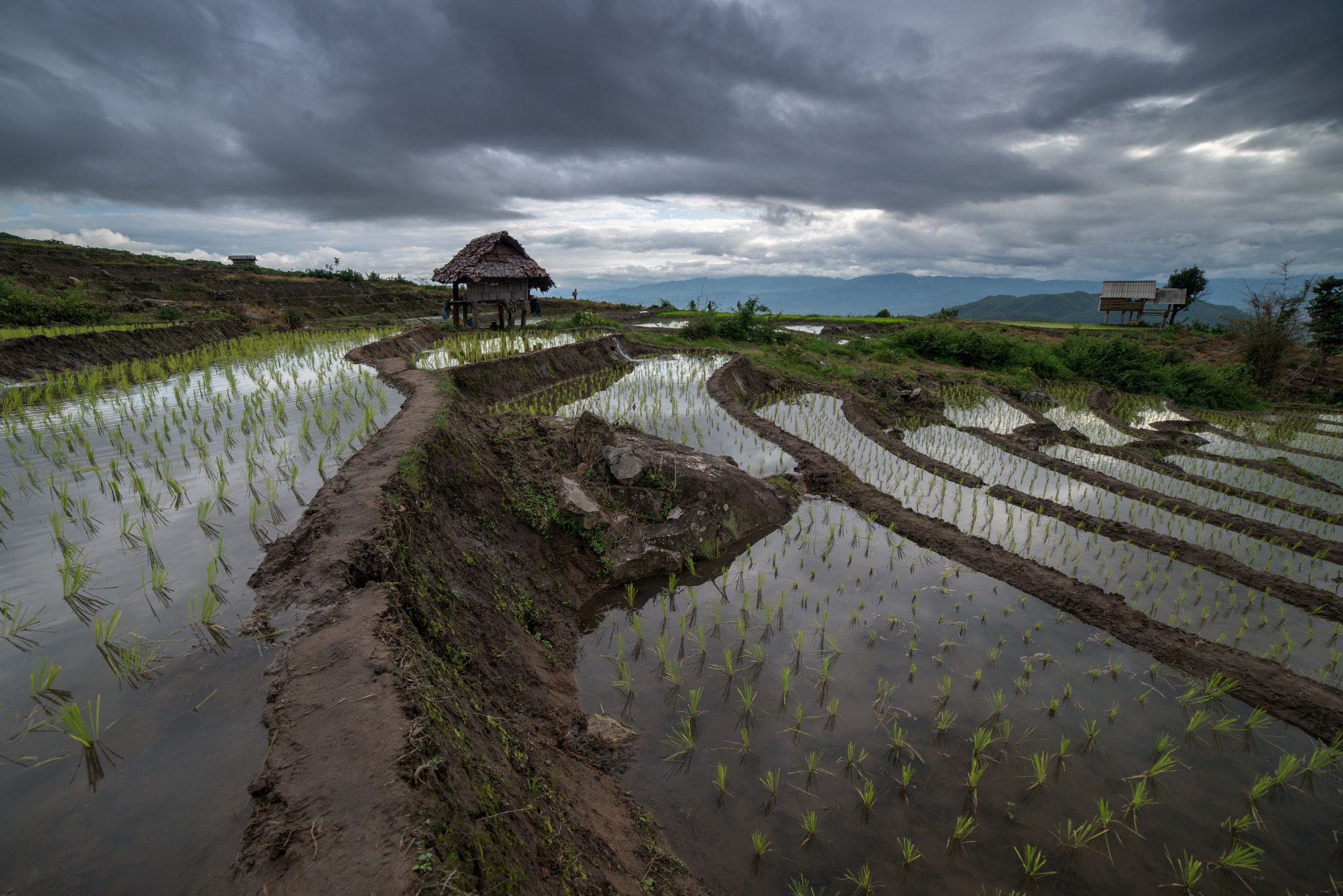 Samyang 14mm F2.8 ED AS IF UMC sample photo. The rice terrace farm photography