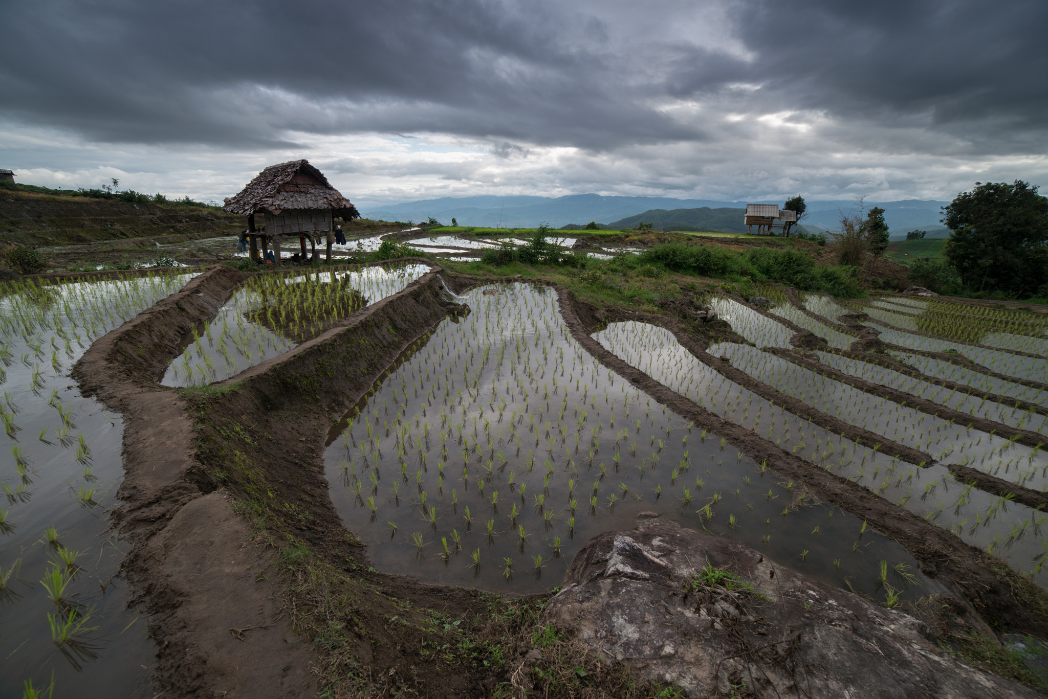 Samyang 14mm F2.8 ED AS IF UMC sample photo. The rice terrace farm photography