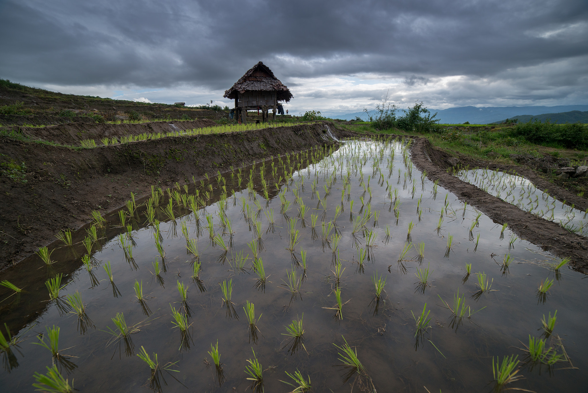 Samyang 14mm F2.8 ED AS IF UMC sample photo. The rice terrace farm photography