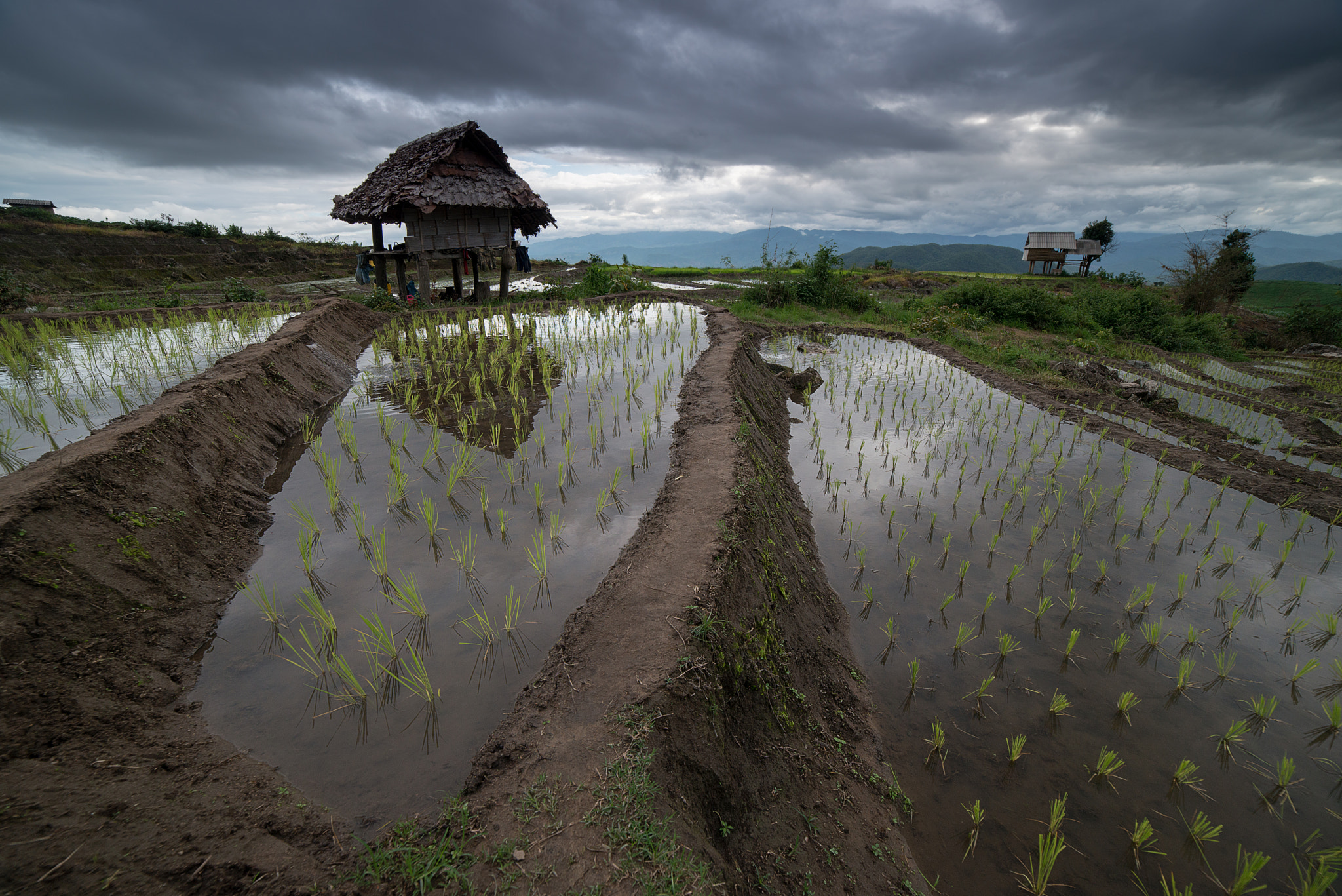 Samyang 14mm F2.8 ED AS IF UMC sample photo. The rice terrace farm photography