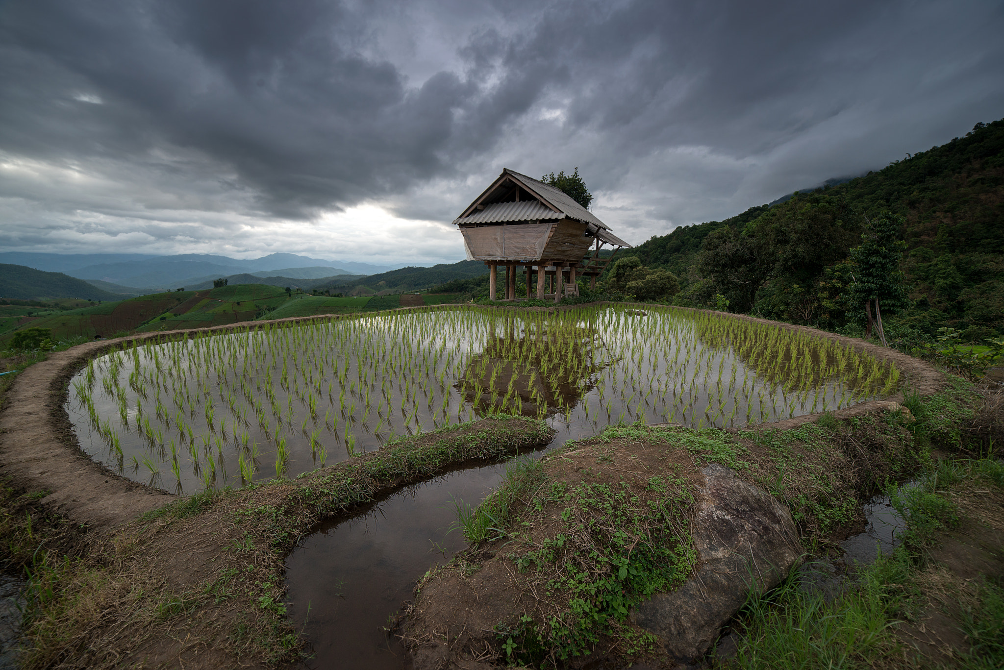 Samyang 14mm F2.8 ED AS IF UMC sample photo. The rice terrace farm photography
