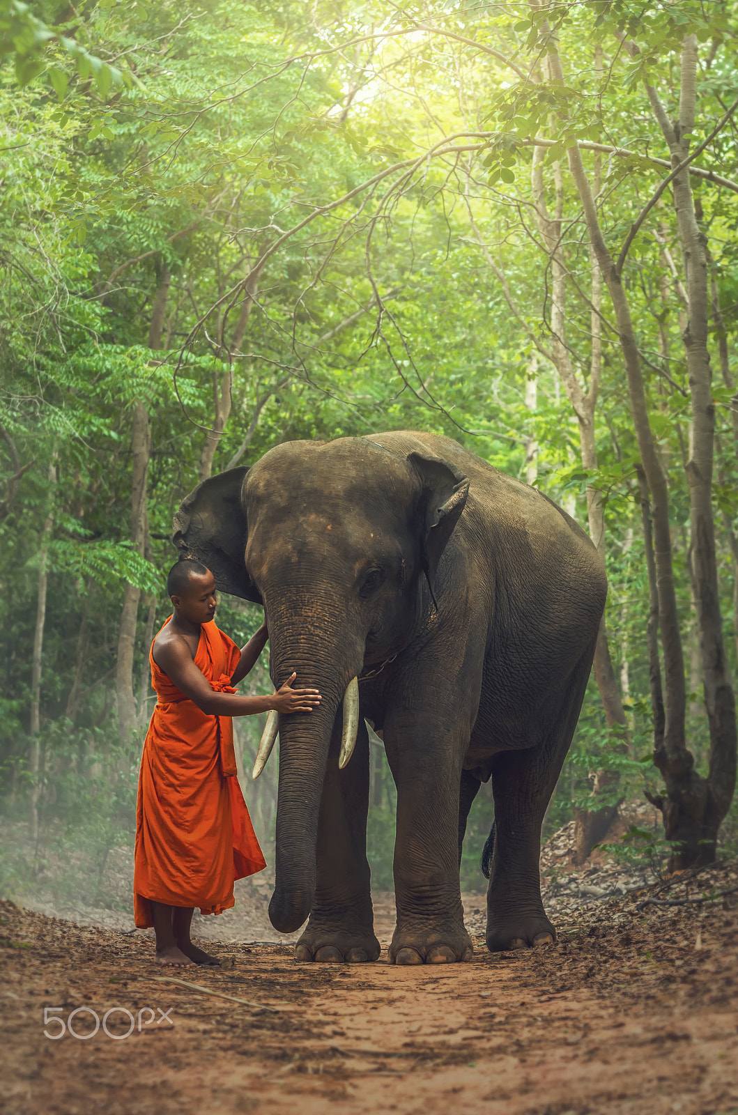 Pentax K-5 IIs sample photo. Monk with elephant in the deep forest background photography