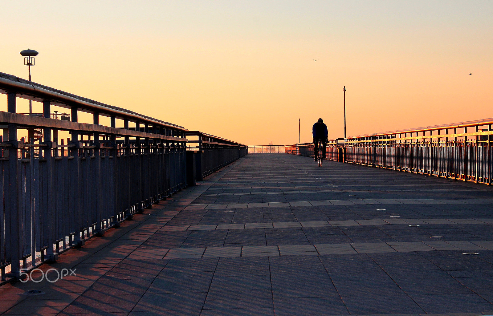 Canon EF-S 18-55mm F3.5-5.6 IS sample photo. Early morning... photography