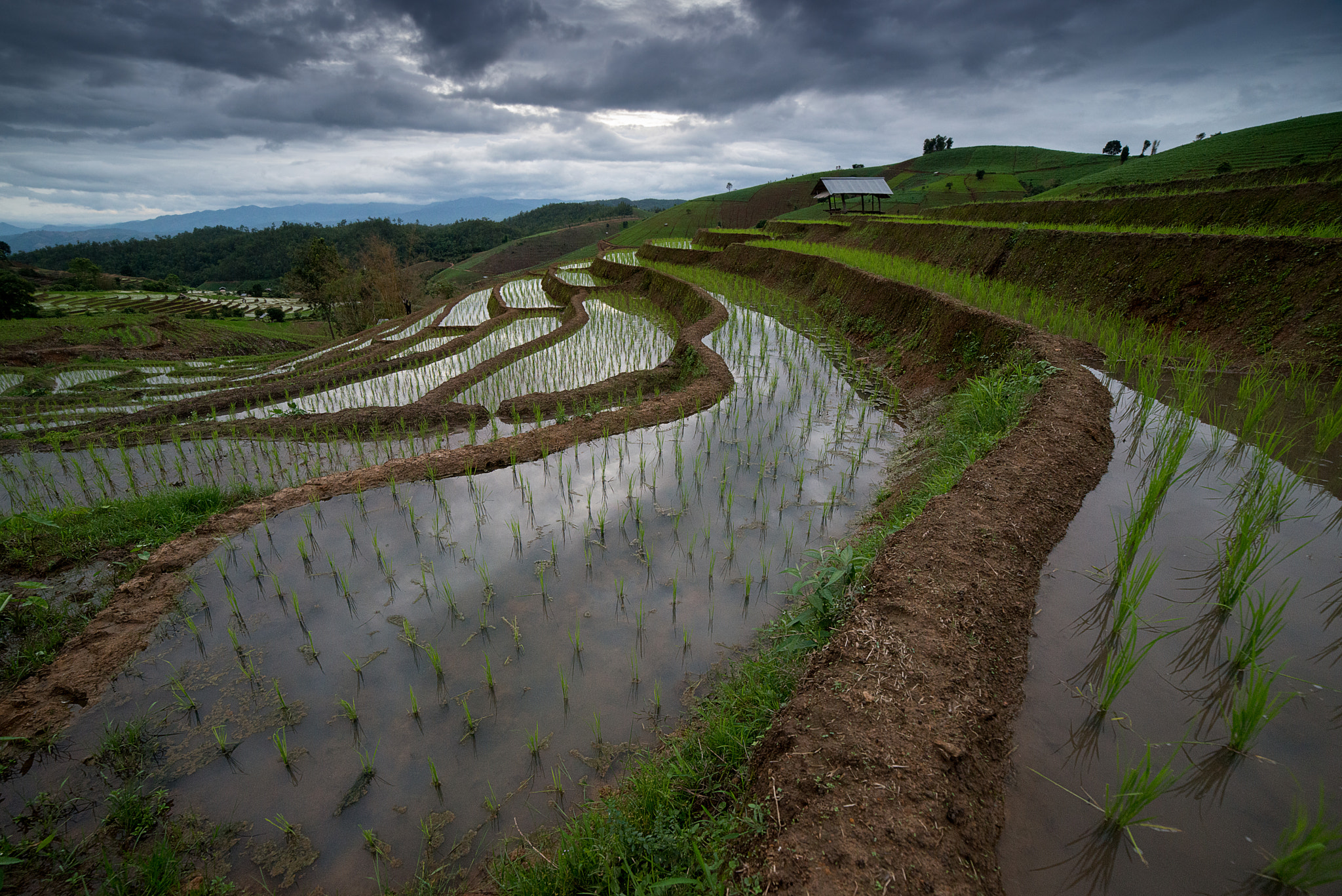 Samyang 14mm F2.8 ED AS IF UMC sample photo. The rice terrace farm photography