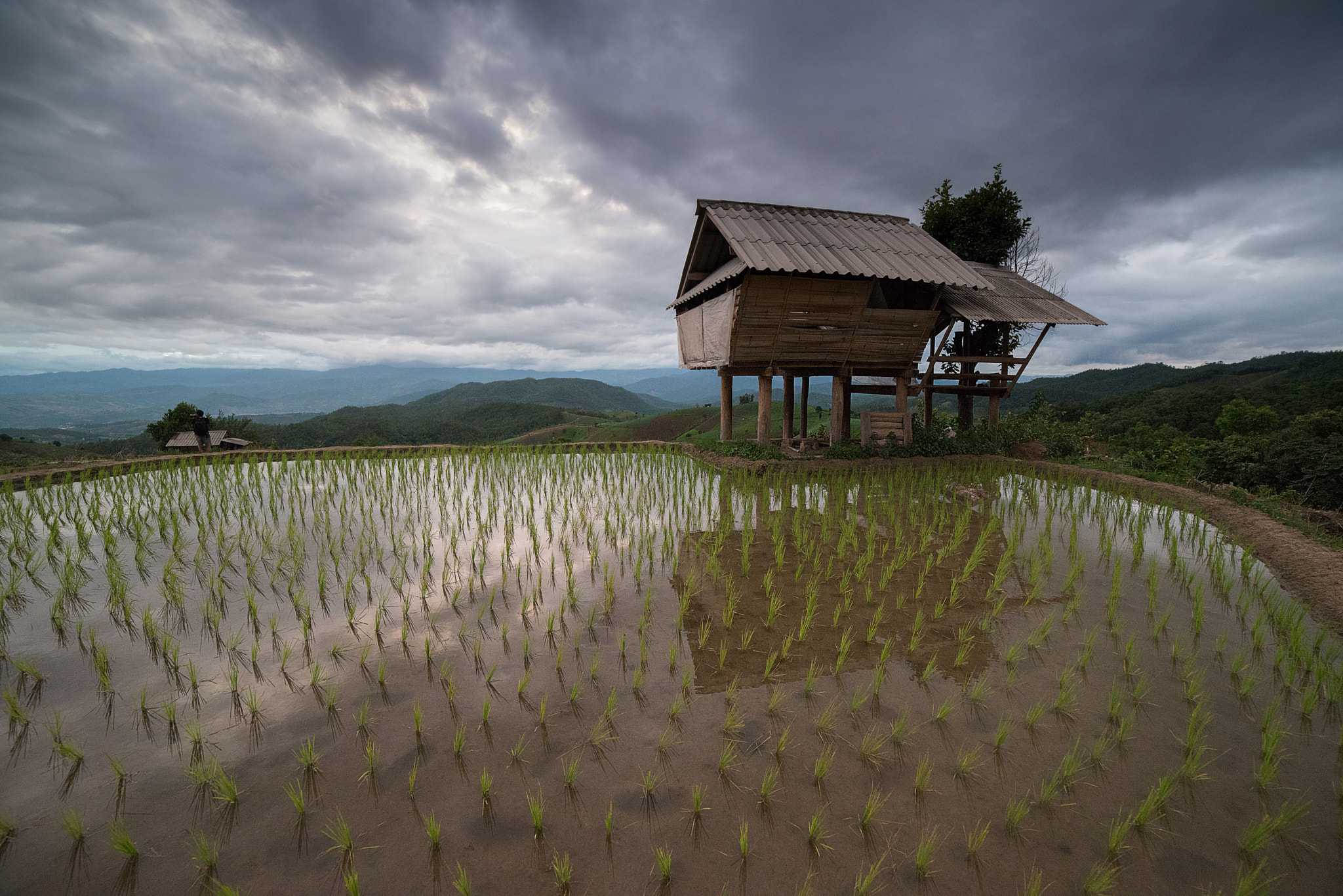 Samyang 14mm F2.8 ED AS IF UMC sample photo. The rice terrace farm photography
