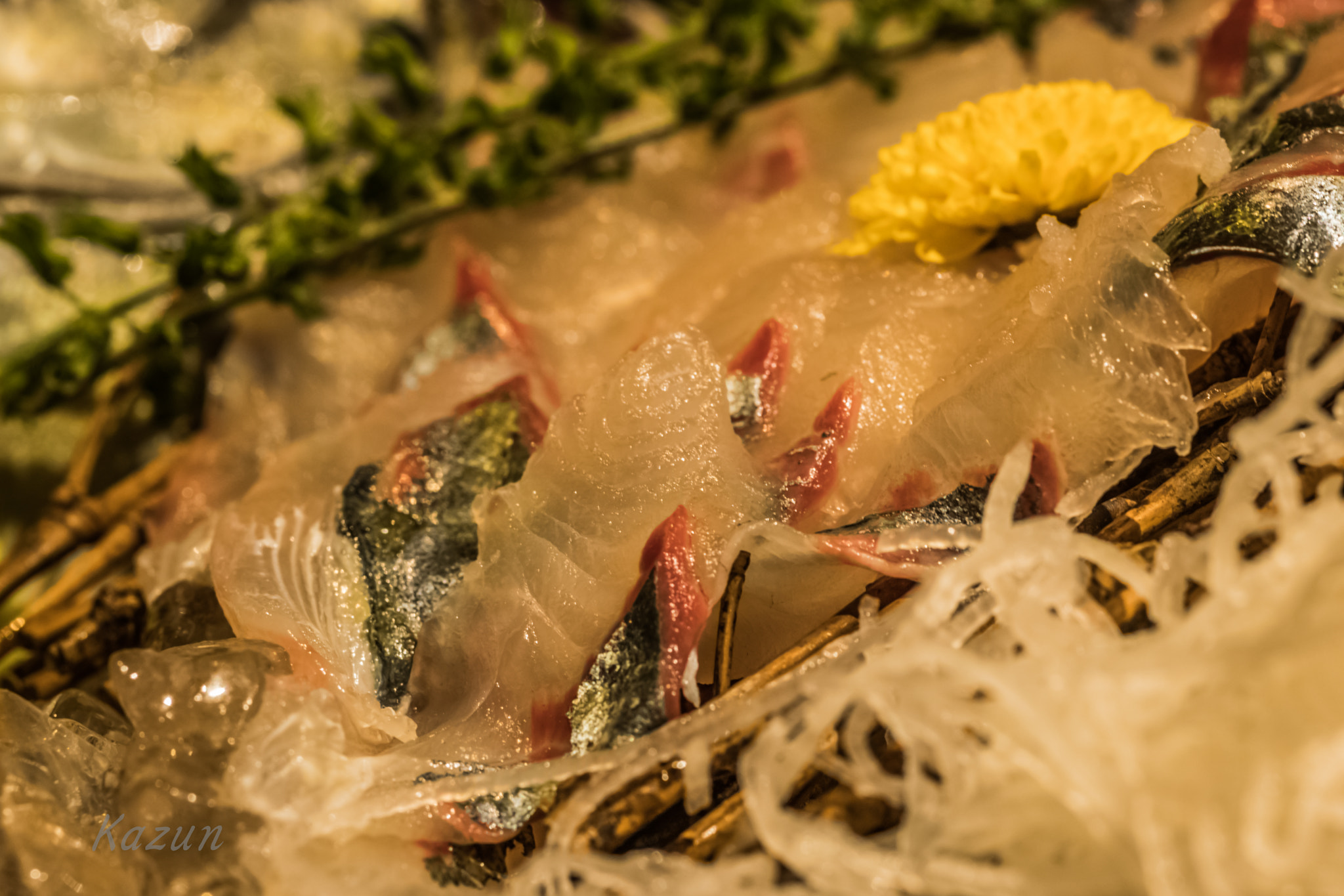 ZEISS Makro-Planar T* 100mm F2 sample photo. Sashimi photography