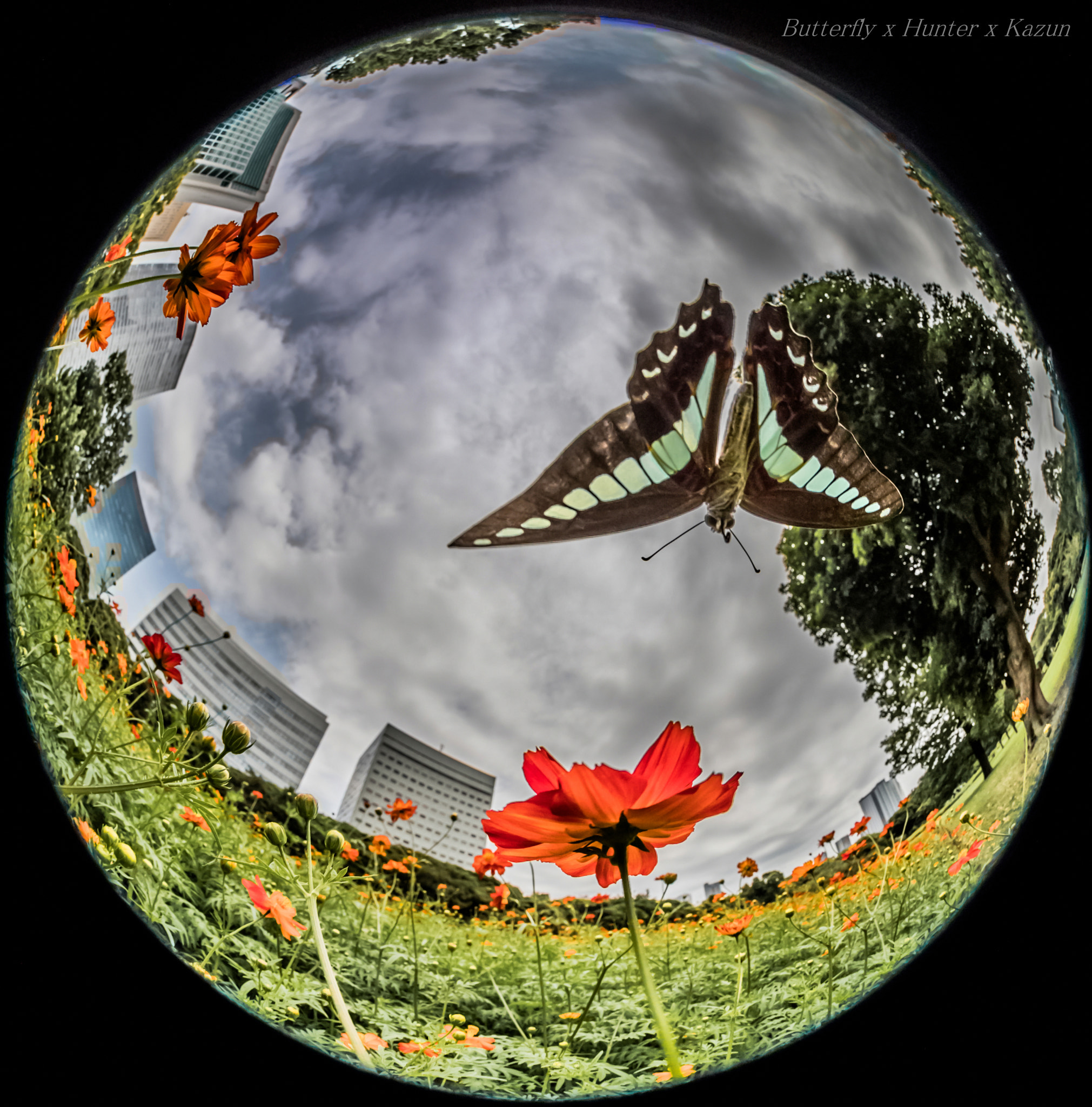 Canon EF 8-15mm F4L Fisheye USM sample photo. Deep inpact! photography