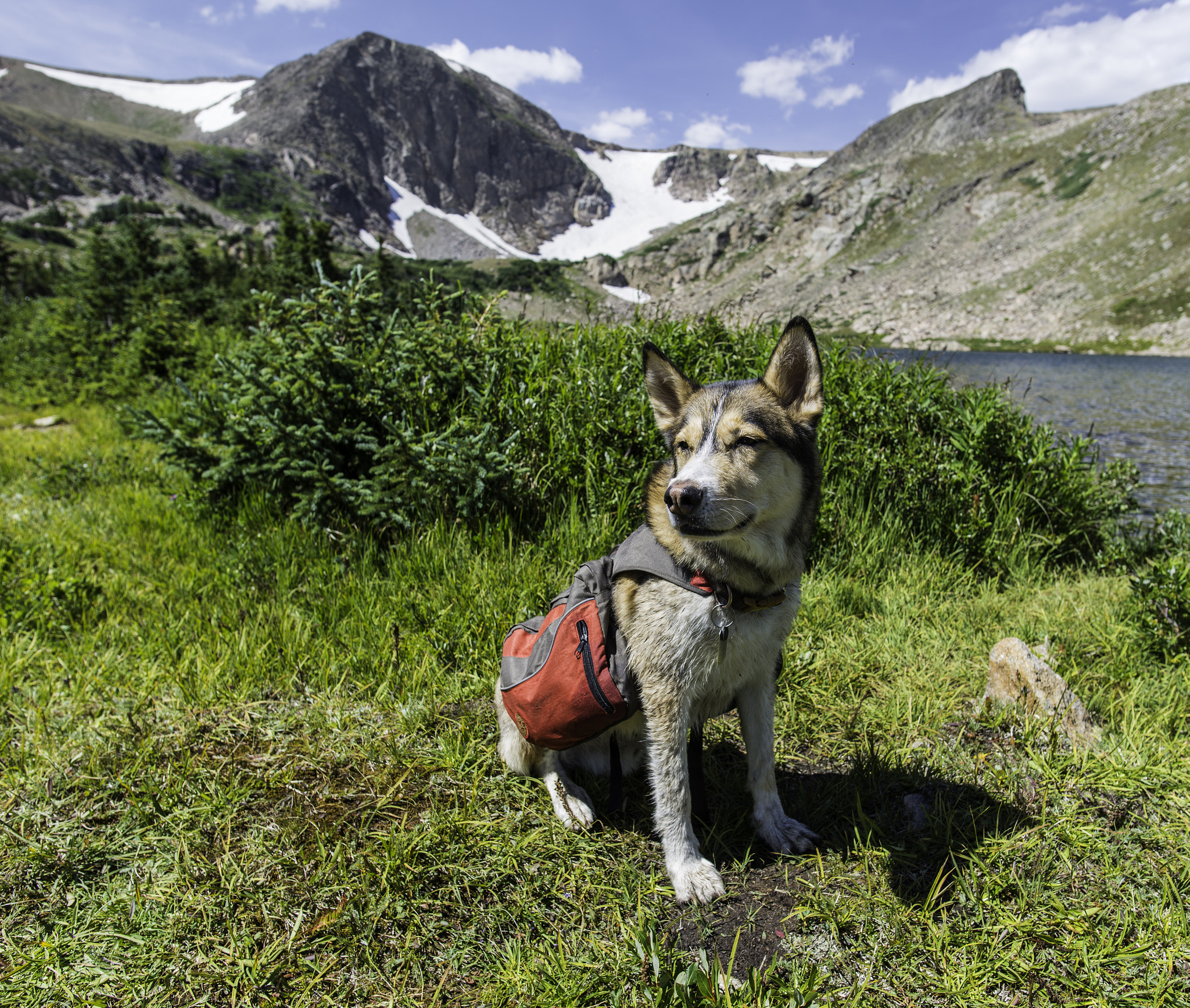 Nikon D600 + Nikon AF-S Nikkor 20mm F1.8G ED sample photo. Odin leaving the lake photography