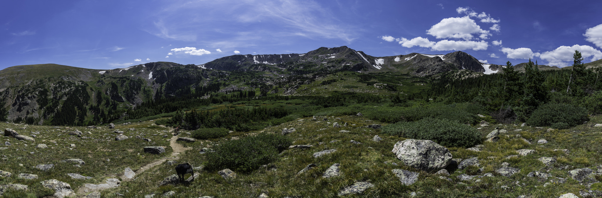 Nikon D600 + Nikon AF-S Nikkor 20mm F1.8G ED sample photo. The mountain top on the way to betty and bob photography