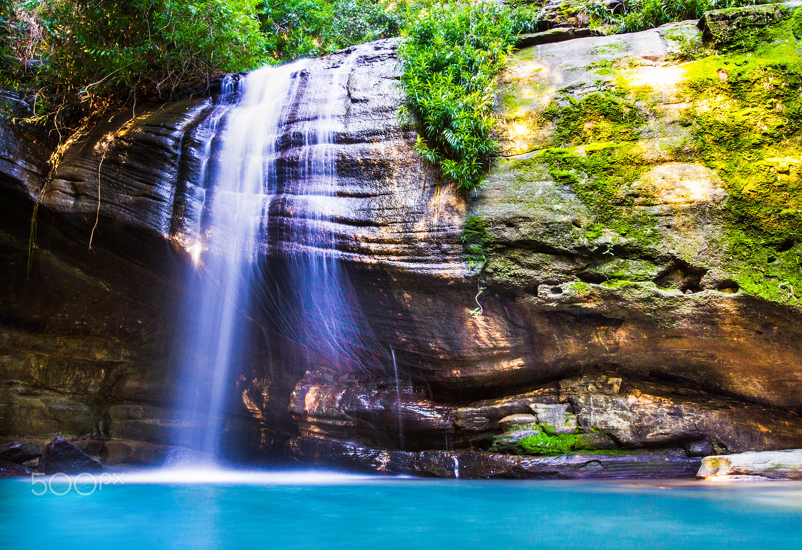 Canon EOS 7D + Canon EF 16-35mm F4L IS USM sample photo. Serenity water fall buderim in queensland photography