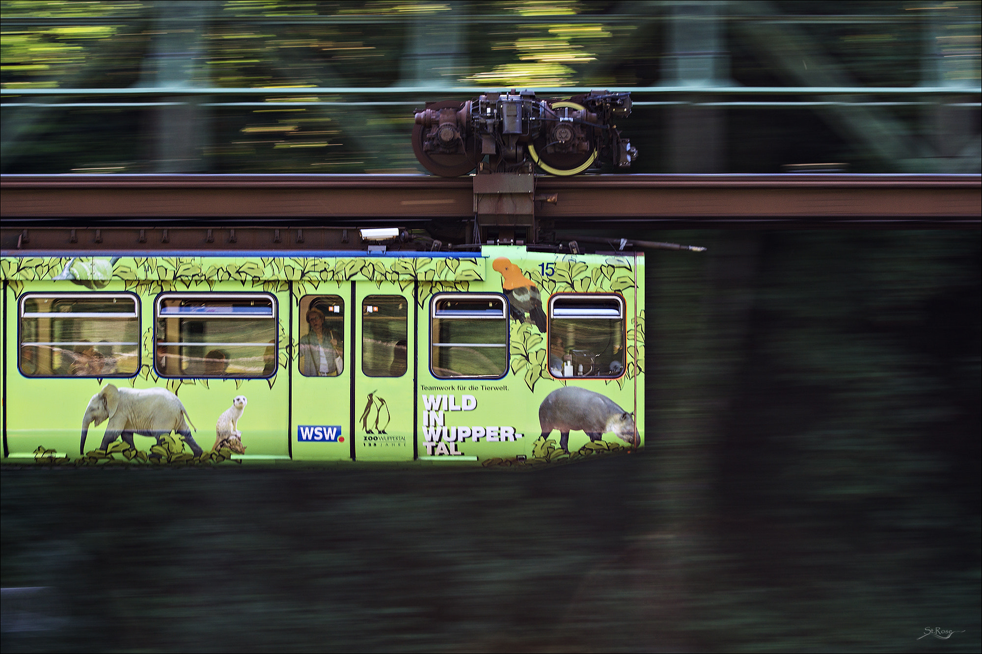 Sony a6000 + 70-200mm F2.8 sample photo. Wild railway photography