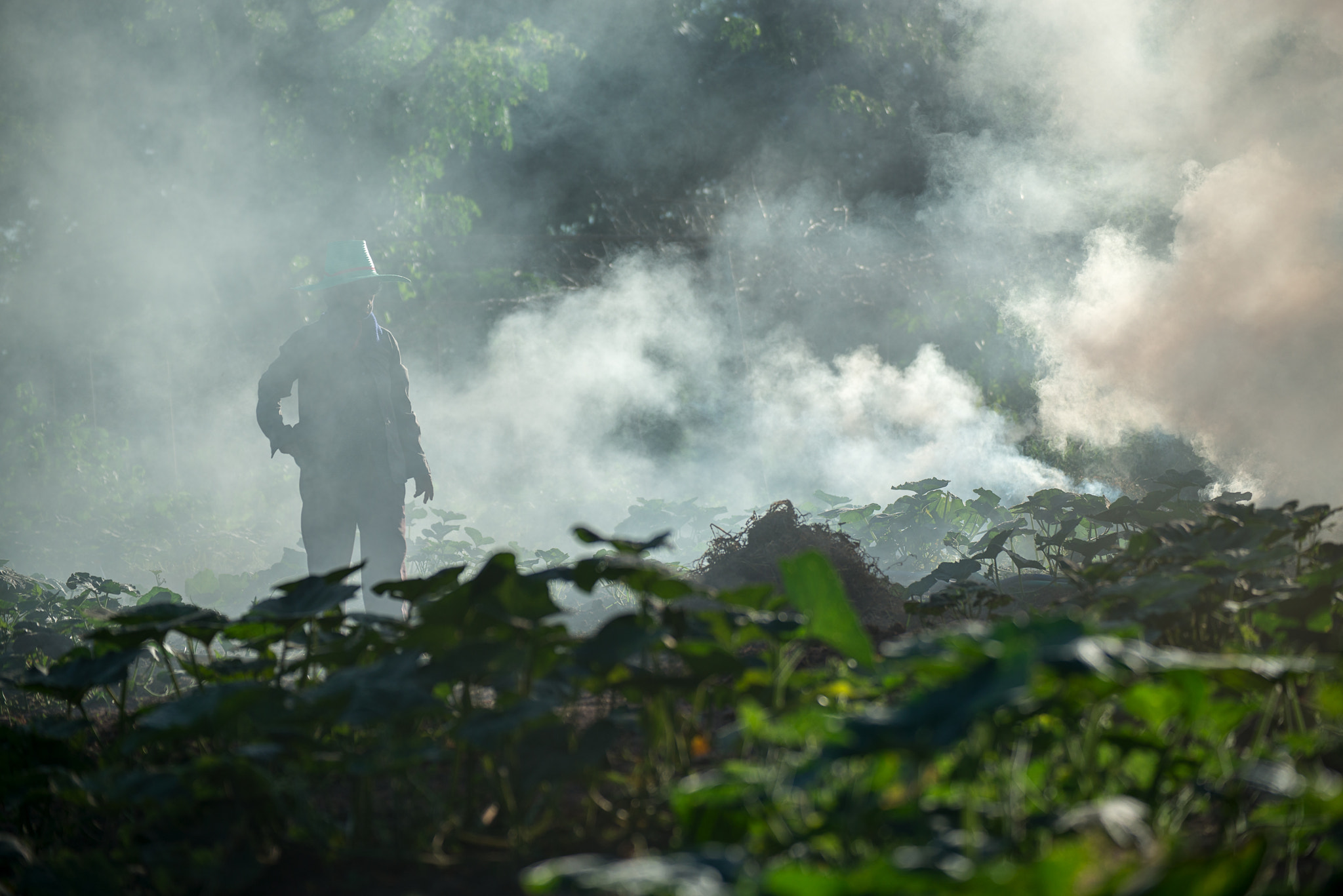 Nikon D800E sample photo. Burn for agriculture photography