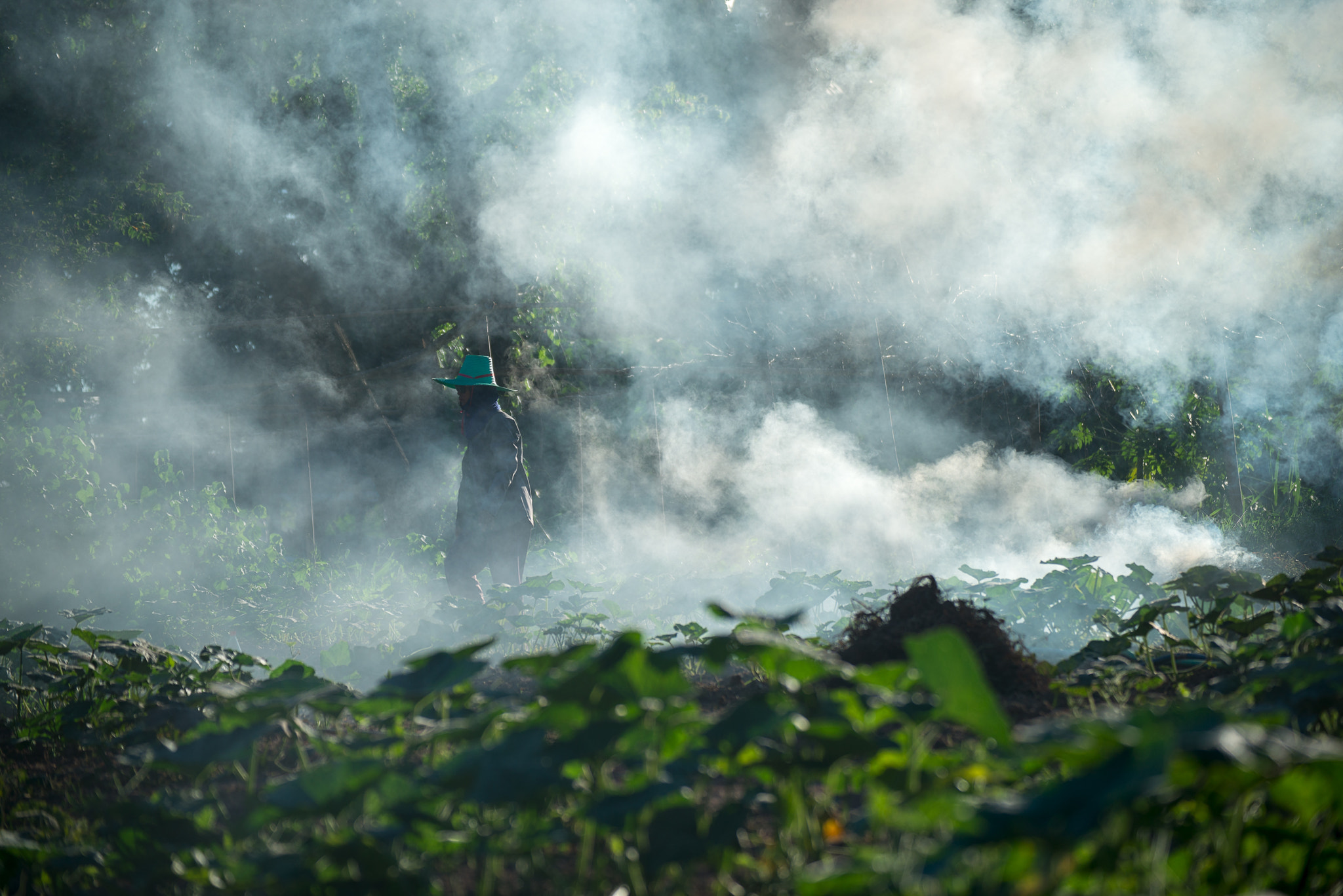 Nikon D800E sample photo. Burn for agriculture photography