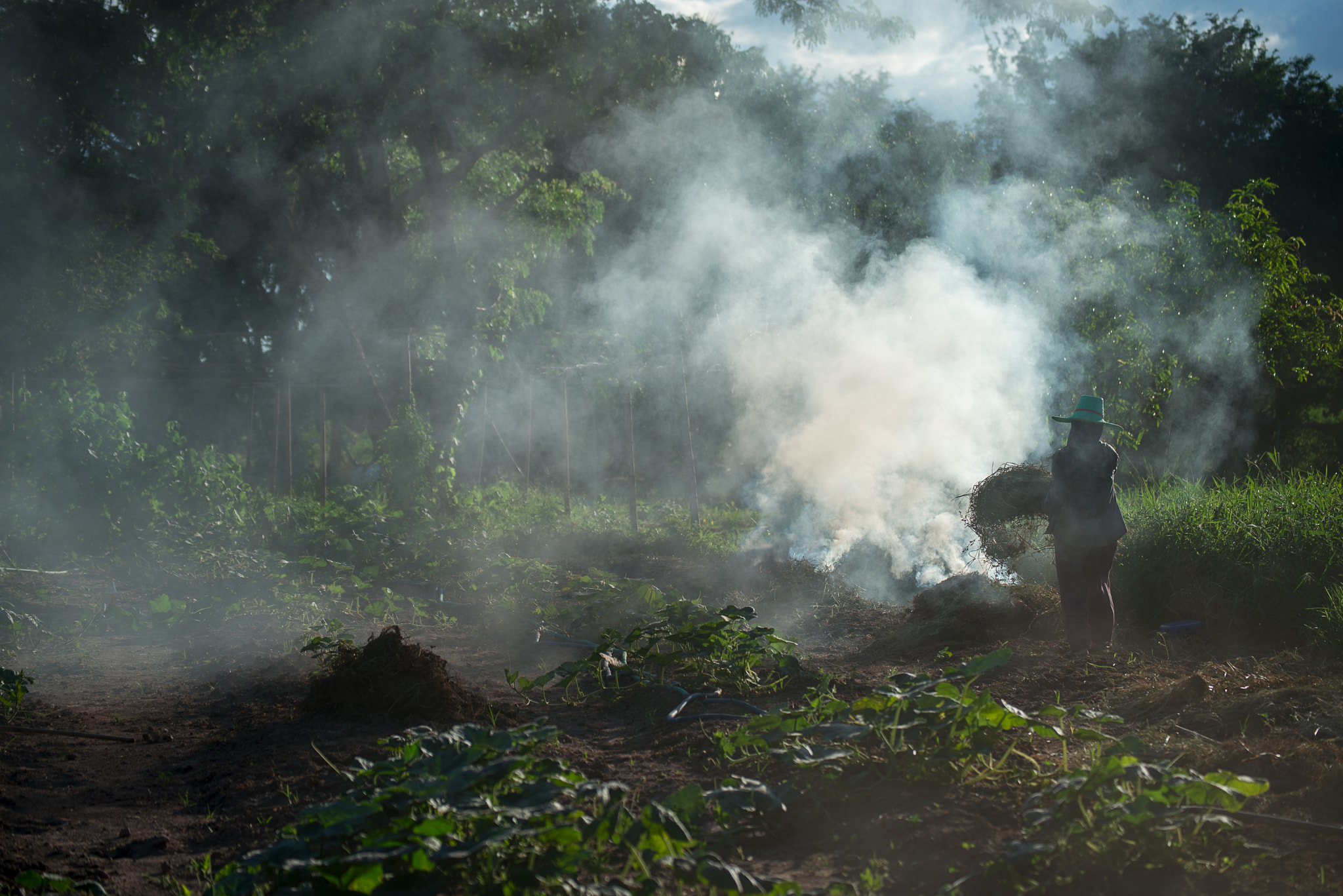 Nikon D800E sample photo. Burn for agriculture photography