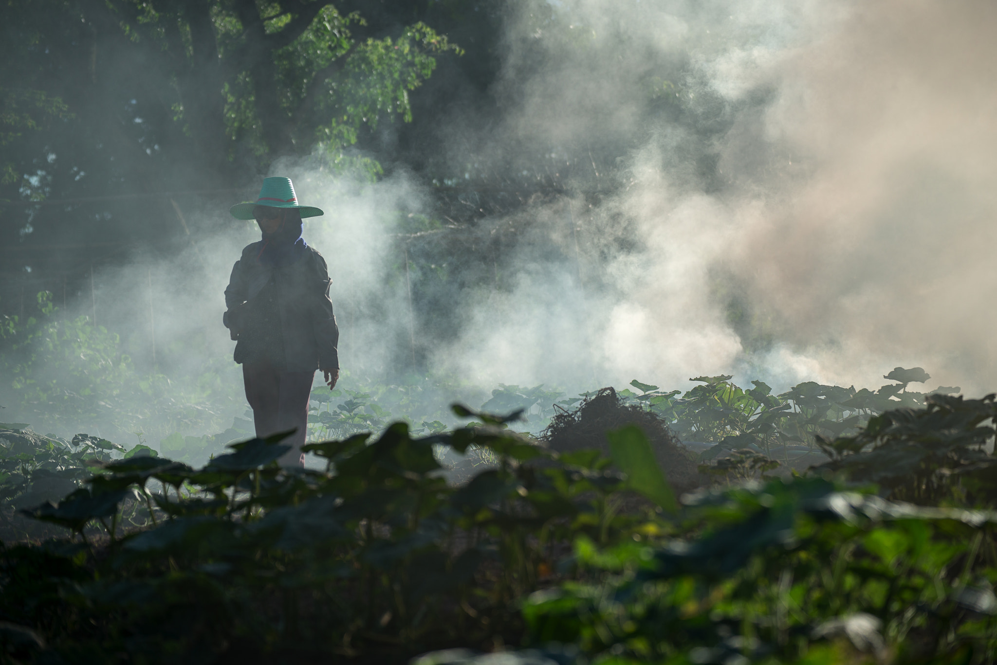 Nikon D800E sample photo. Burn for agriculture photography