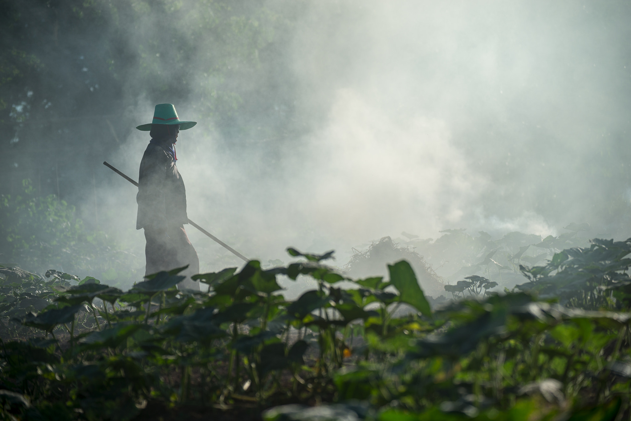 Nikon D800E sample photo. Burn for agriculture photography