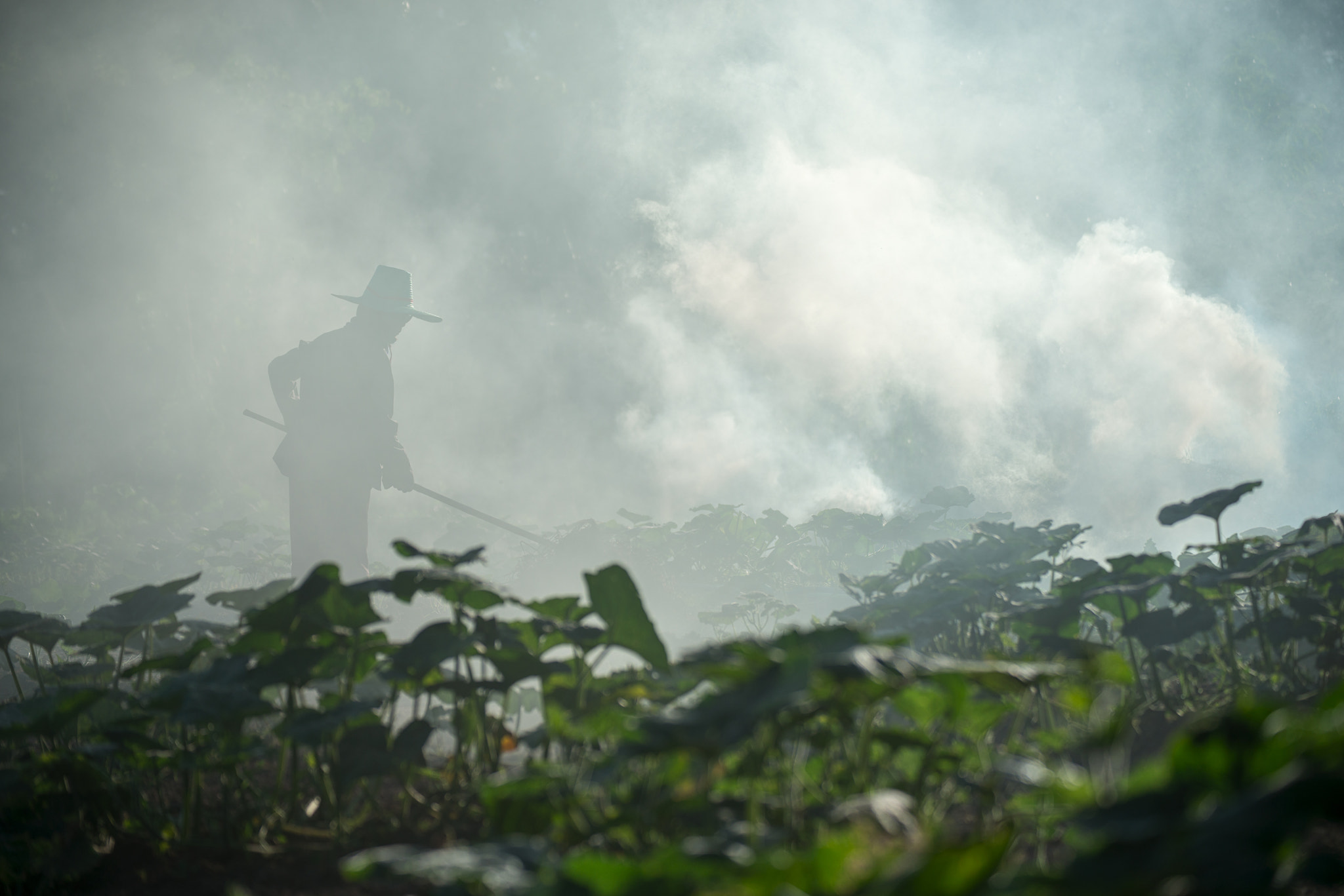 Nikon D800E sample photo. Burn for agriculture photography