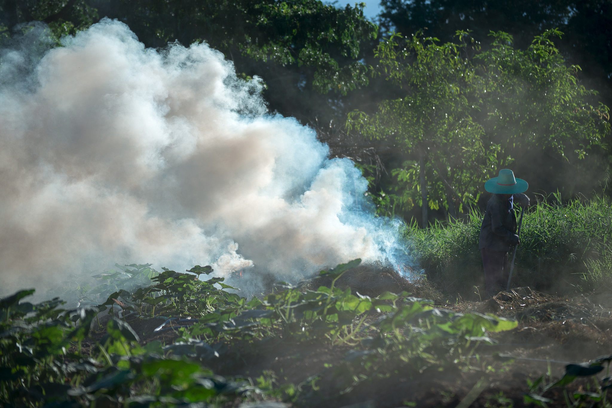 Nikon D800E sample photo. Burn for agriculture photography