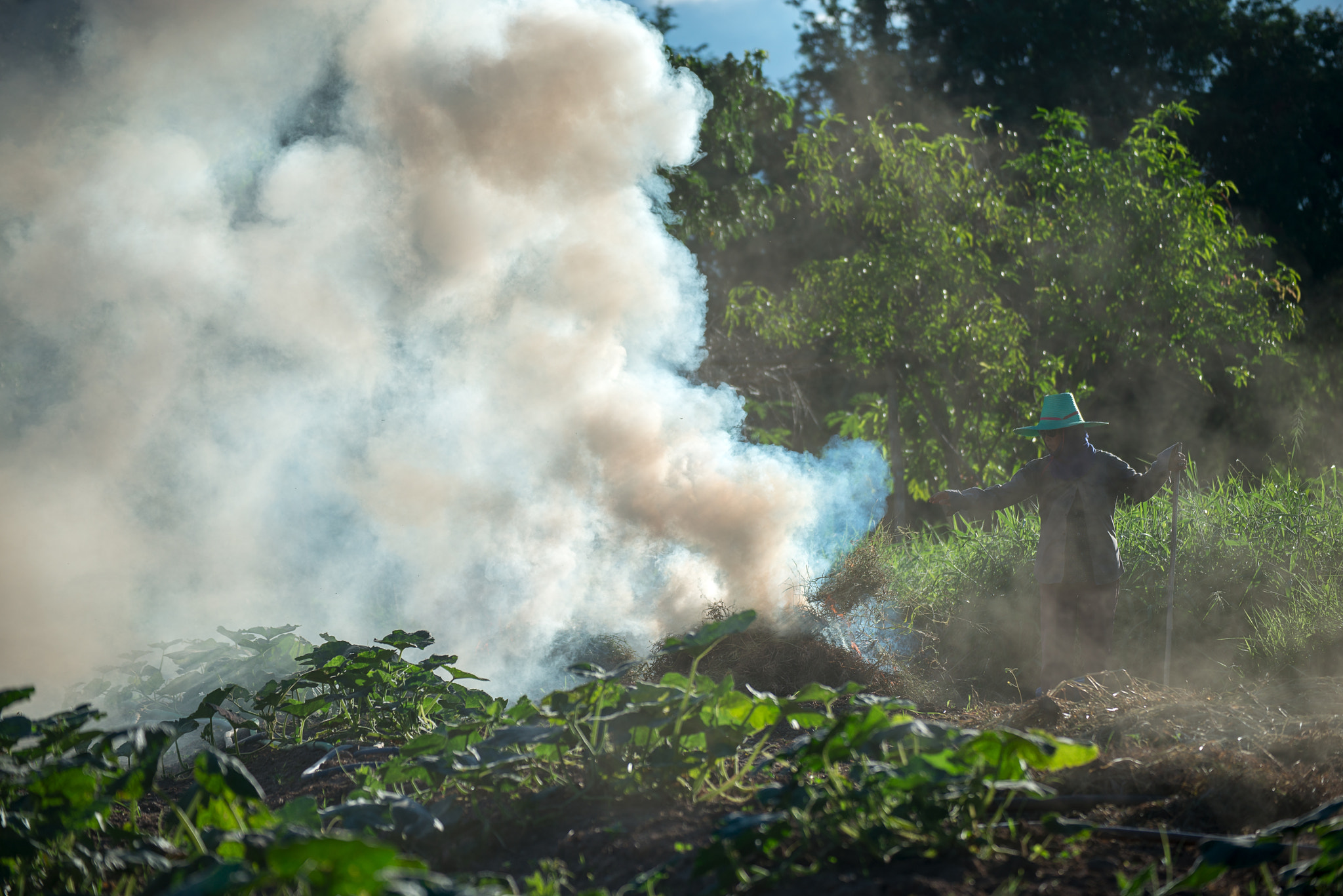Nikon D800E sample photo. Burn for agriculture photography