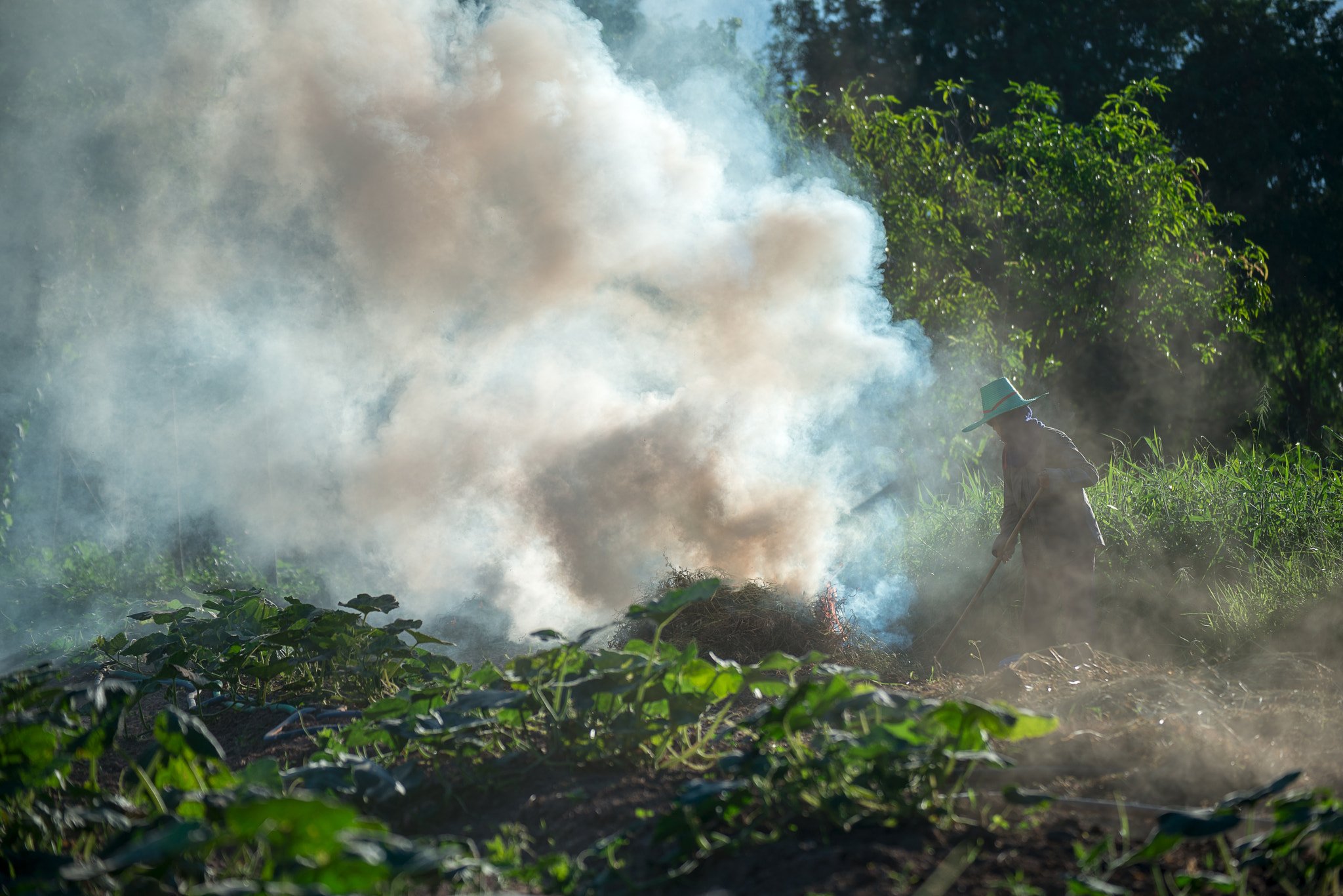 Nikon D800E sample photo. Burn for agriculture photography