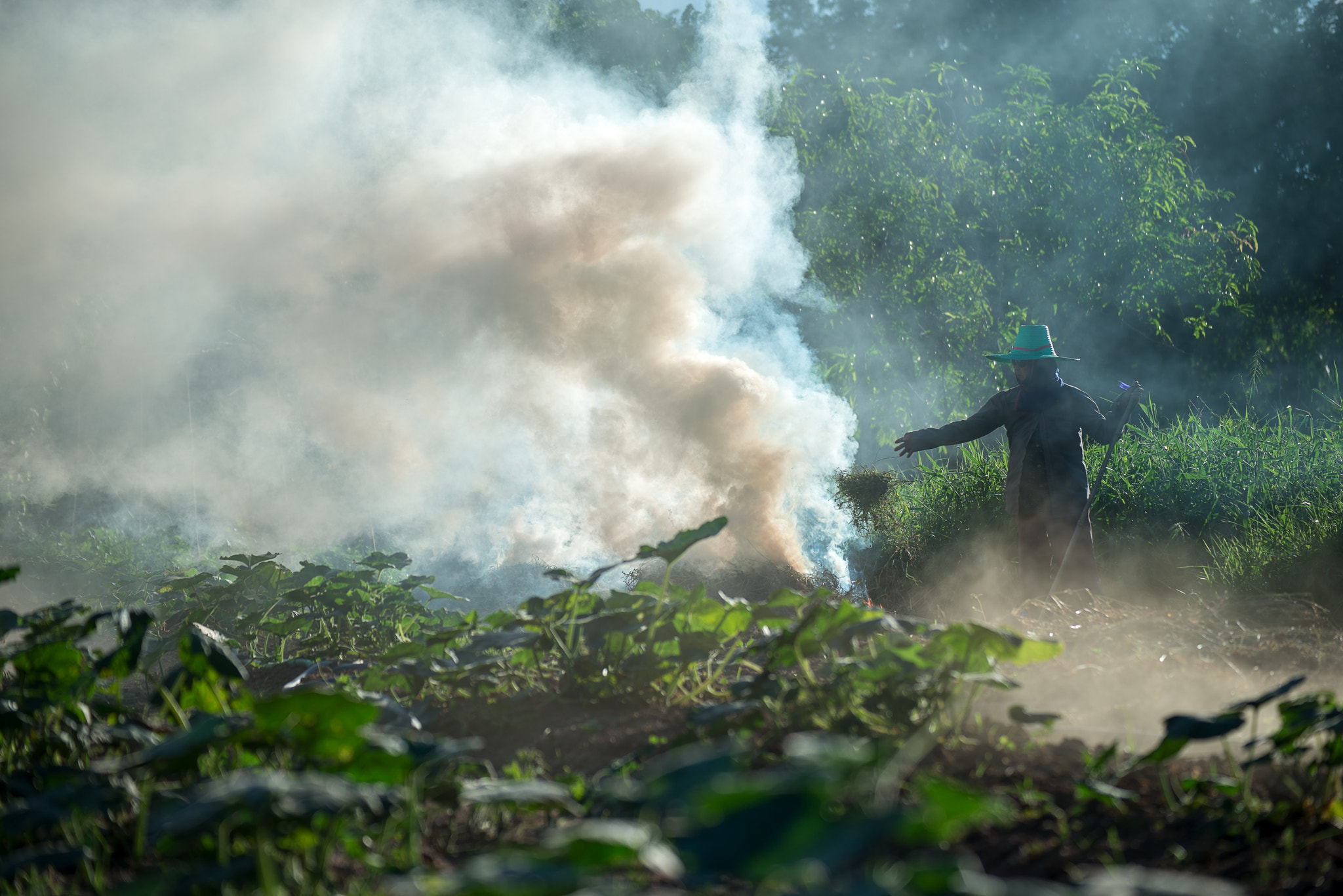 Nikon D800E sample photo. Burn for agriculture photography