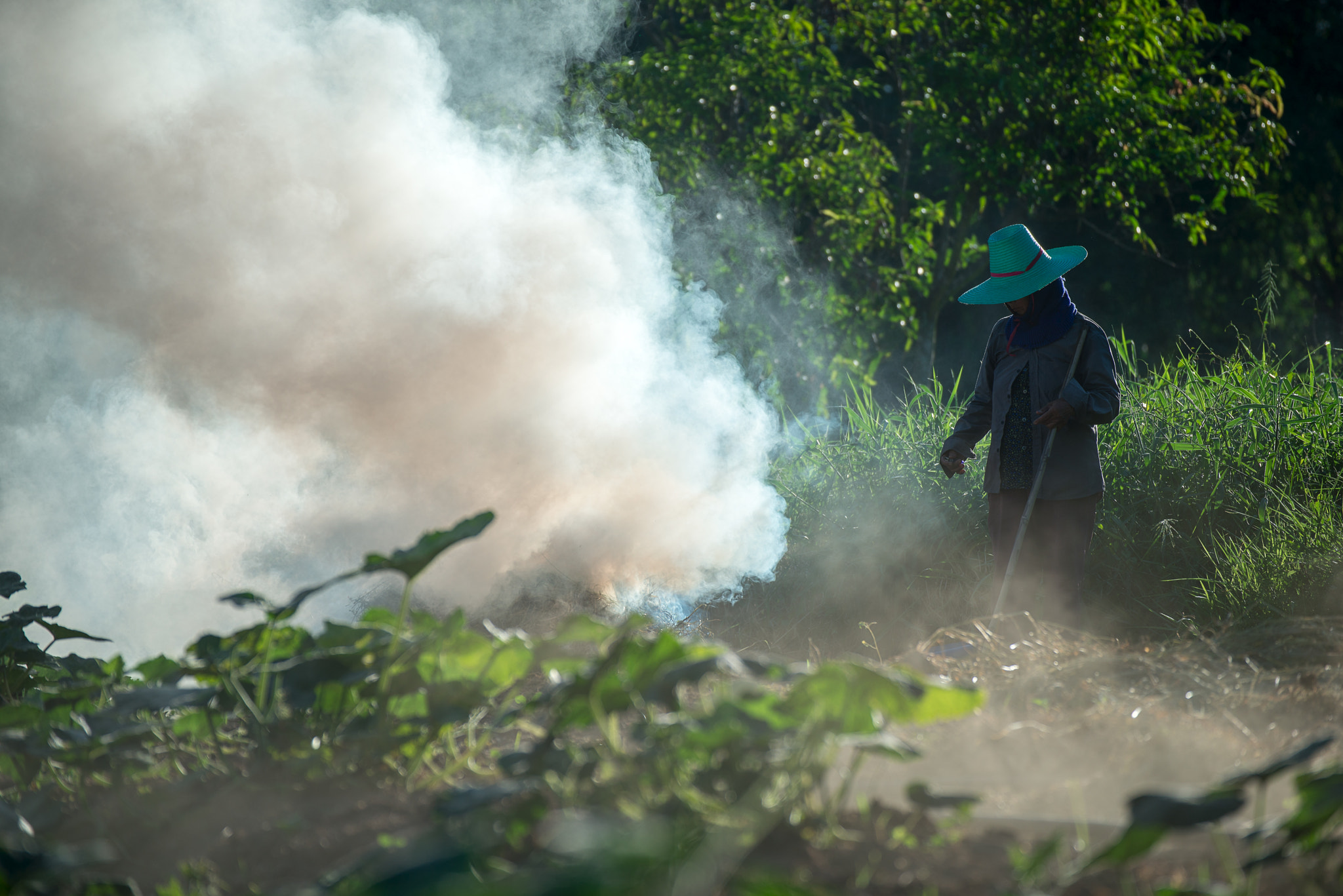 Nikon D800E sample photo. Burn for agriculture photography