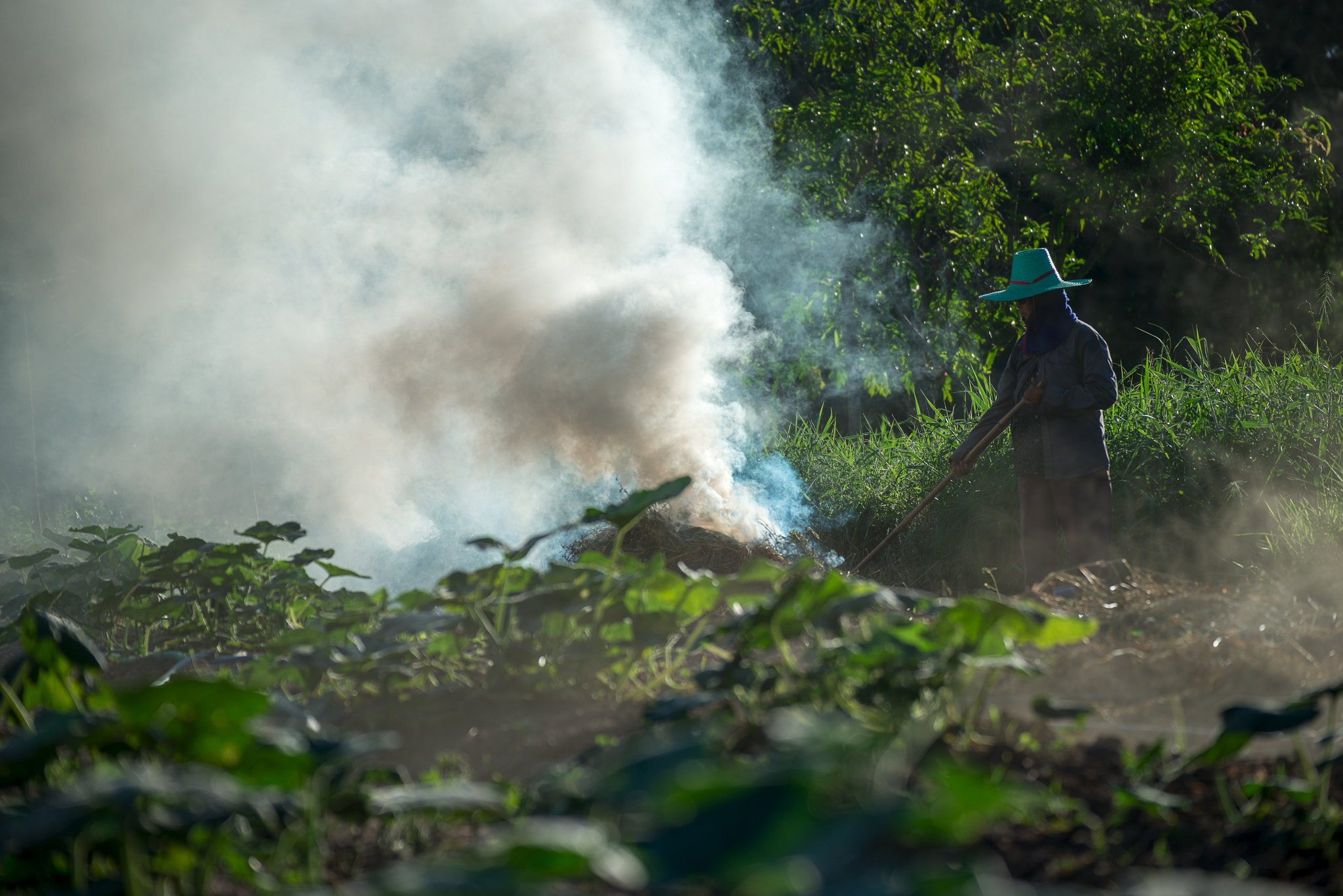 Nikon D800E sample photo. Burn for agriculture photography