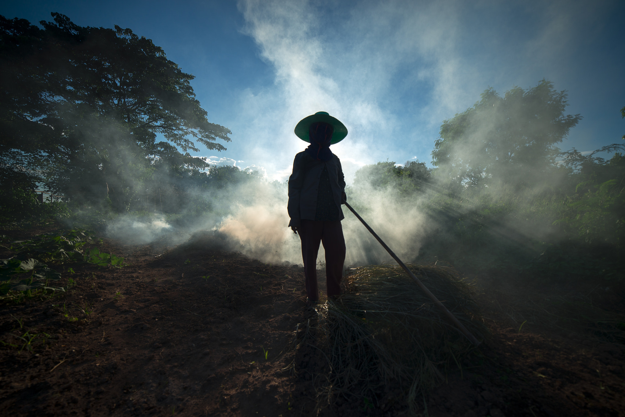 Samyang 14mm F2.8 ED AS IF UMC sample photo. Burn for agriculture photography