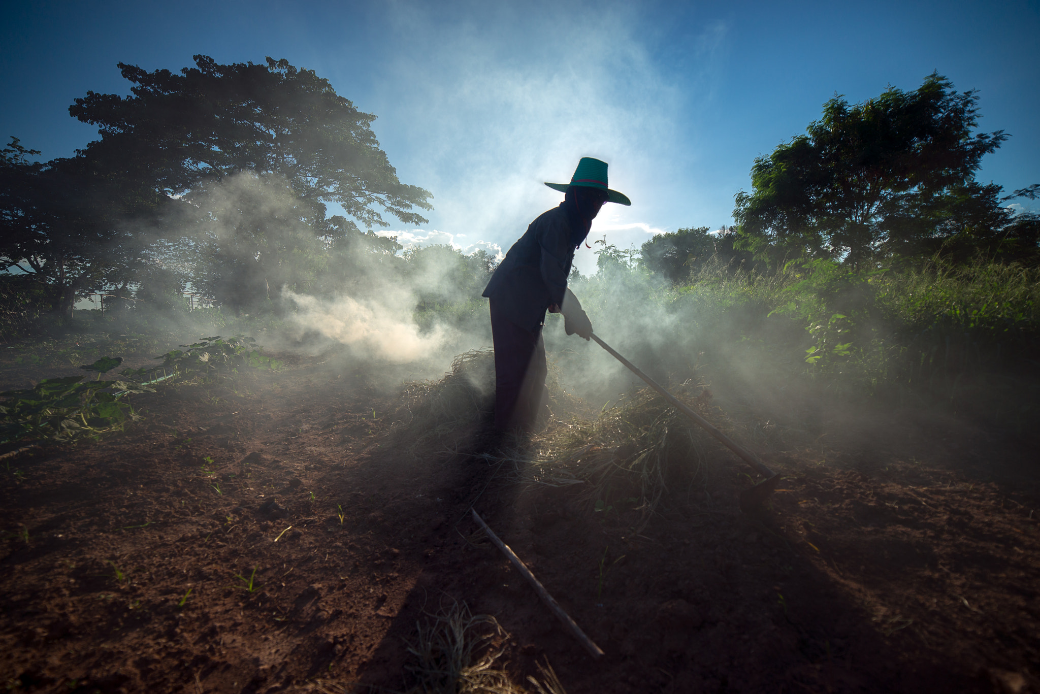 Samyang 14mm F2.8 ED AS IF UMC sample photo. Burn for agriculture photography