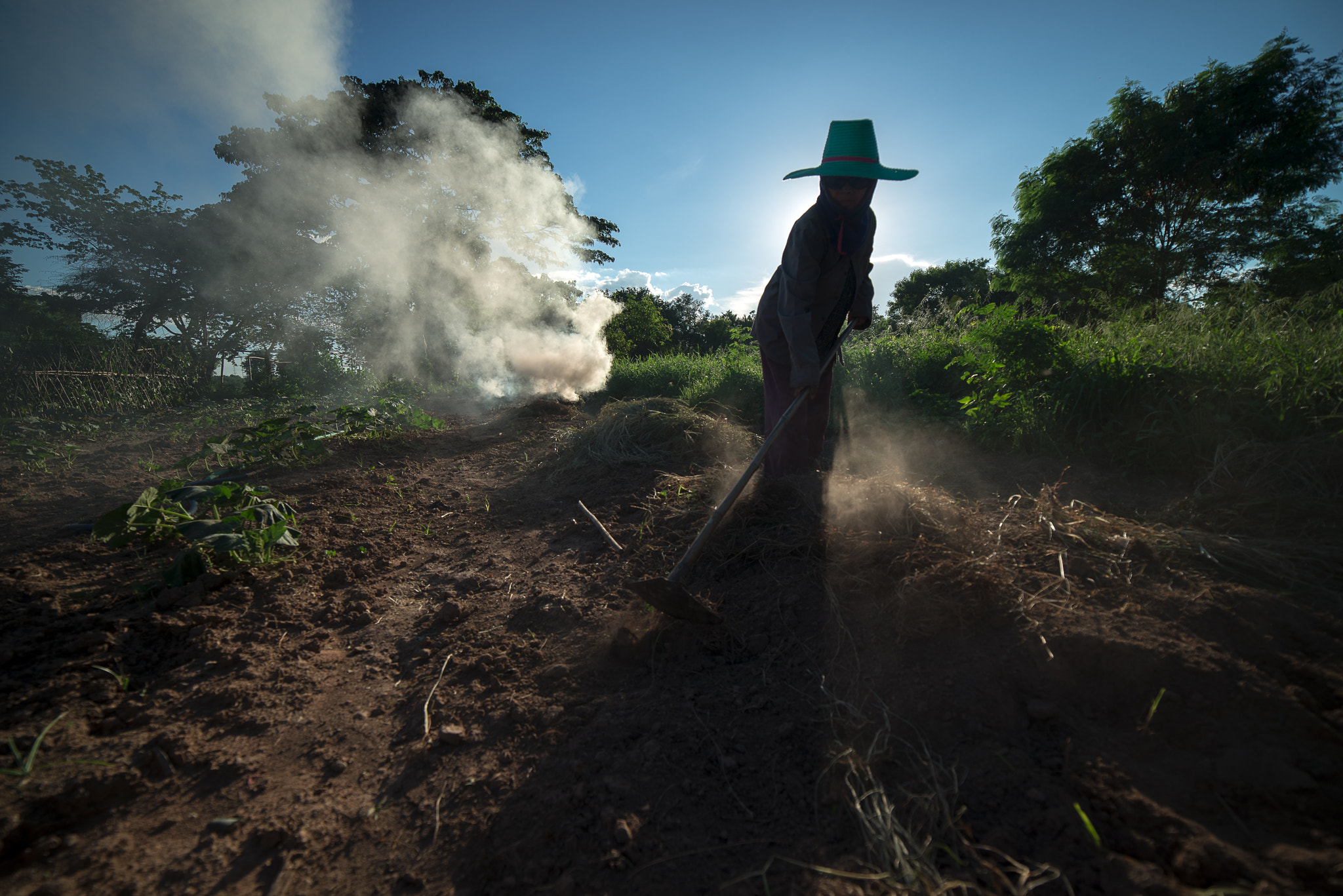 Samyang 14mm F2.8 ED AS IF UMC sample photo. Burn for agriculture photography