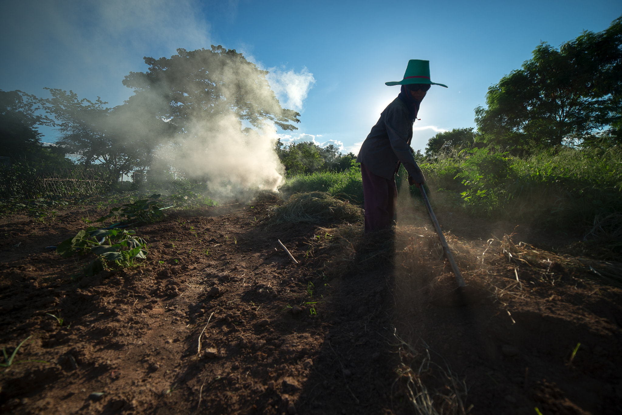 Samyang 14mm F2.8 ED AS IF UMC sample photo. Burn for agriculture photography