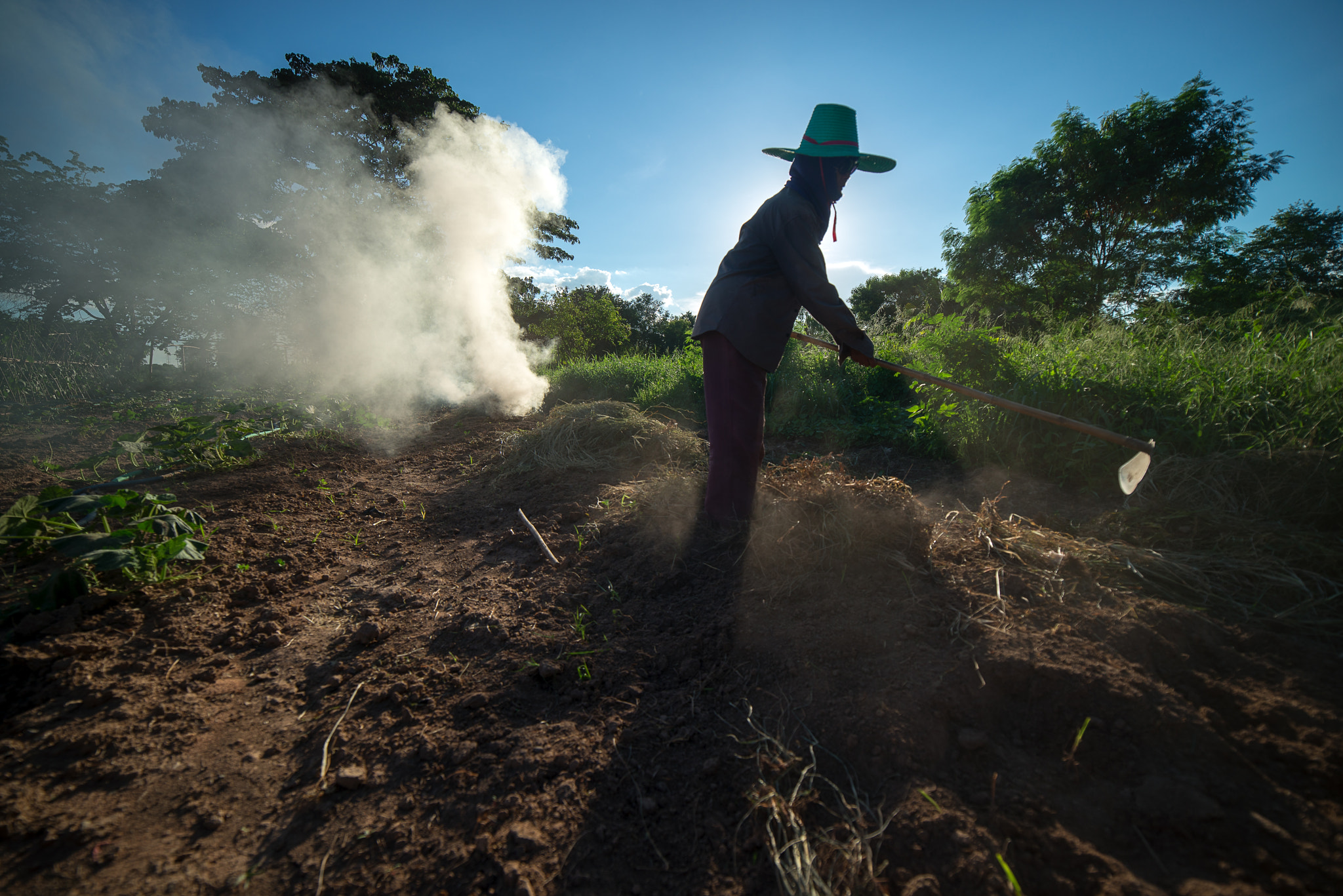 Samyang 14mm F2.8 ED AS IF UMC sample photo. Burn for agriculture photography