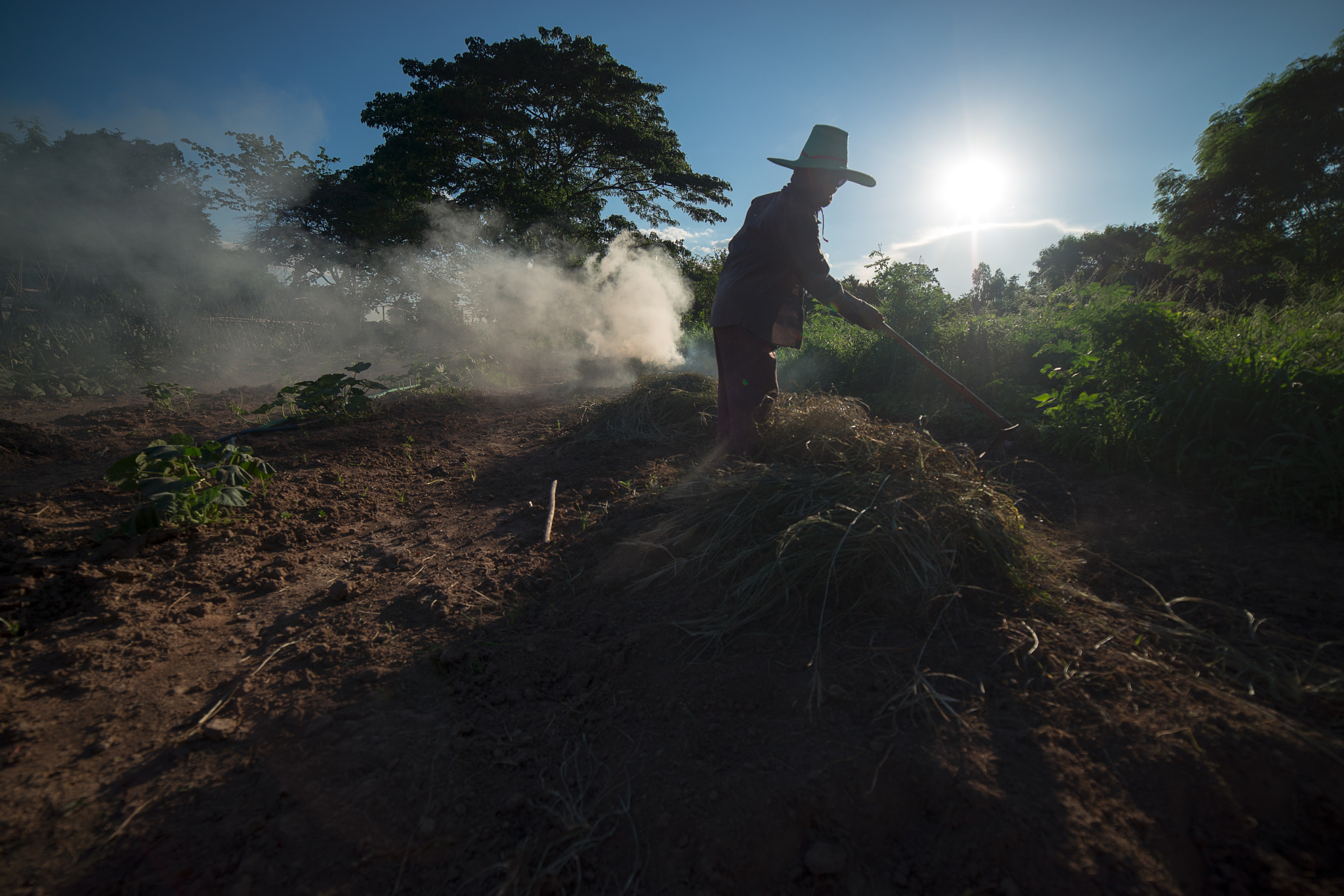 Samyang 14mm F2.8 ED AS IF UMC sample photo. Burn for agriculture photography