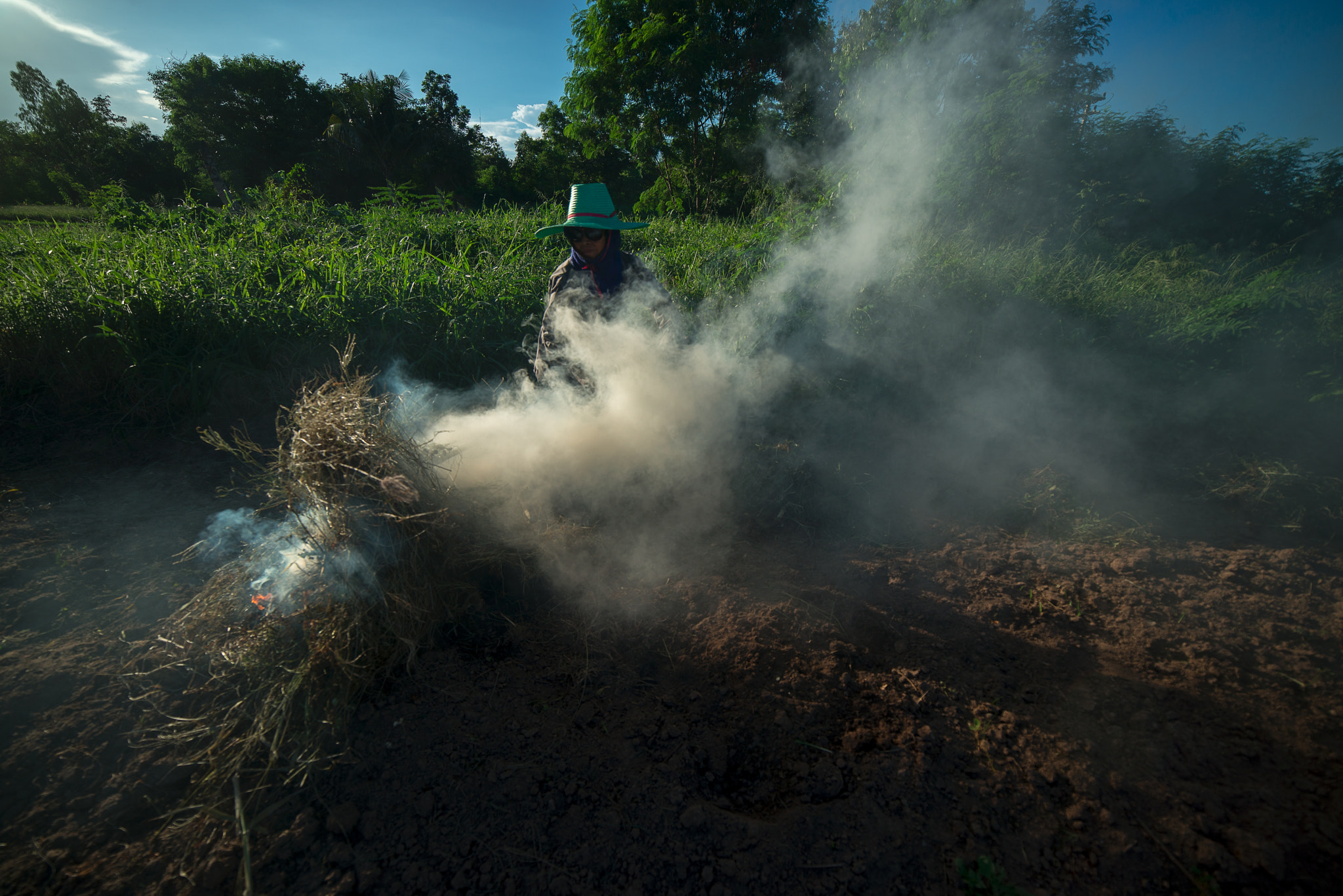 Samyang 14mm F2.8 ED AS IF UMC sample photo. Burn for agriculture photography