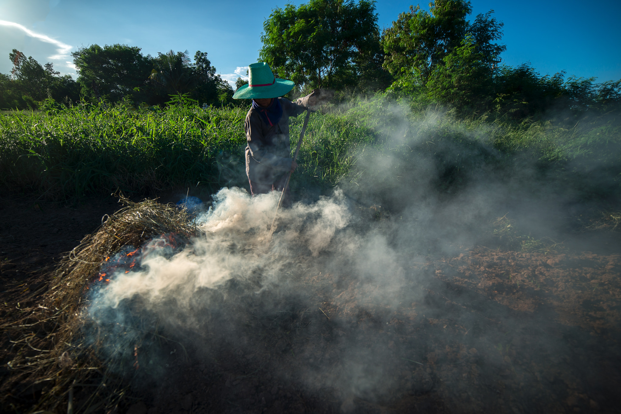 Samyang 14mm F2.8 ED AS IF UMC sample photo. Burn for agriculture photography