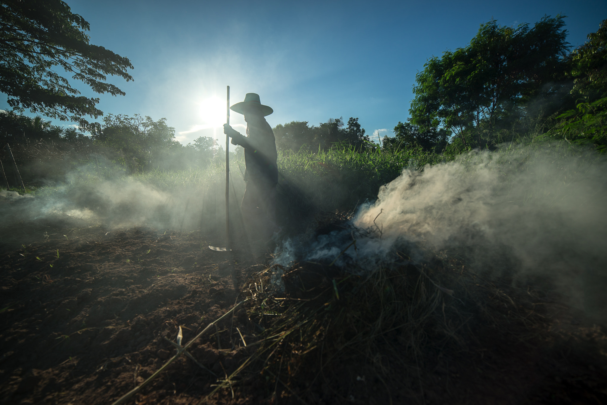 Samyang 14mm F2.8 ED AS IF UMC sample photo. Burn for agriculture photography