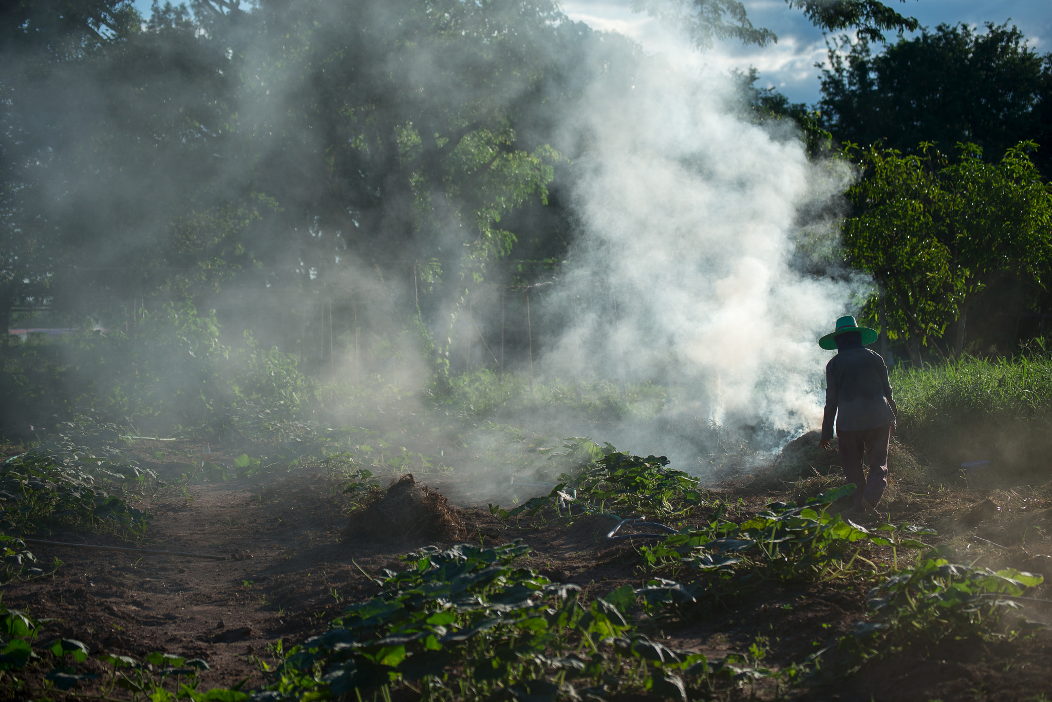 Nikon D800E sample photo. Burn for agriculture photography
