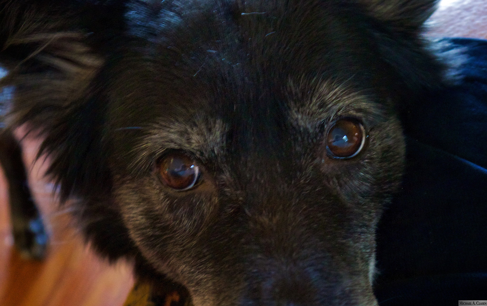 Panasonic Lumix DMC-GX1 sample photo. Ever feel like you're being watched? photography