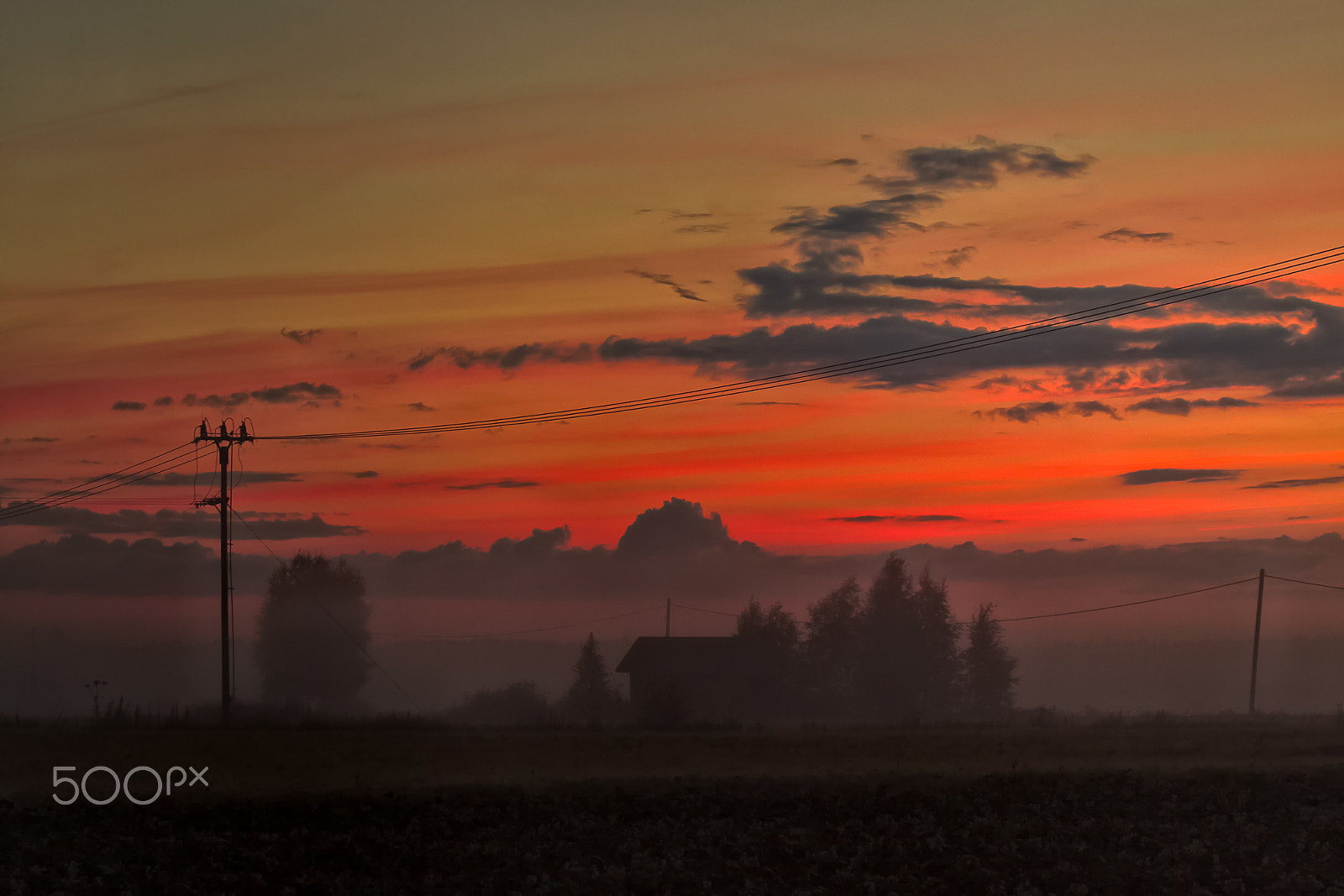 Canon EOS 50D + Canon EF 70-210mm f/4 sample photo. Telephone lines in the mist photography