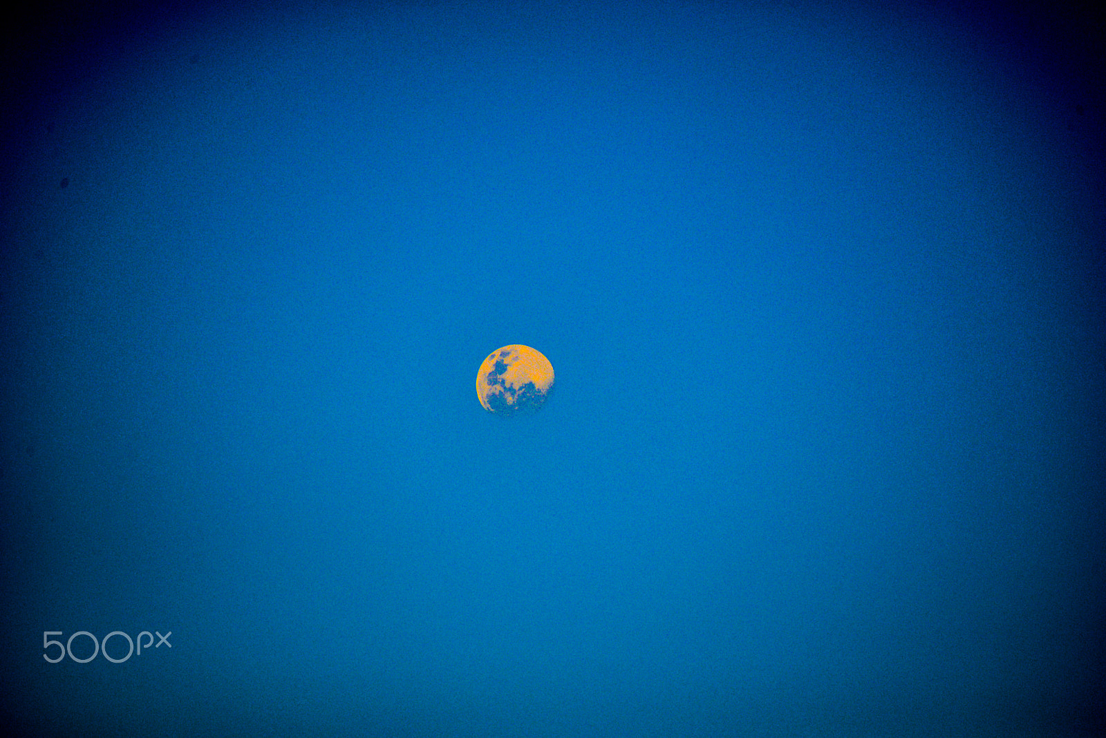 Nikon D600 sample photo. The moon photography