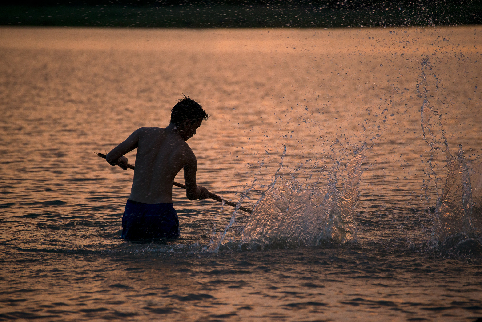 Nikon D800E sample photo. The funny moment at the lake photography