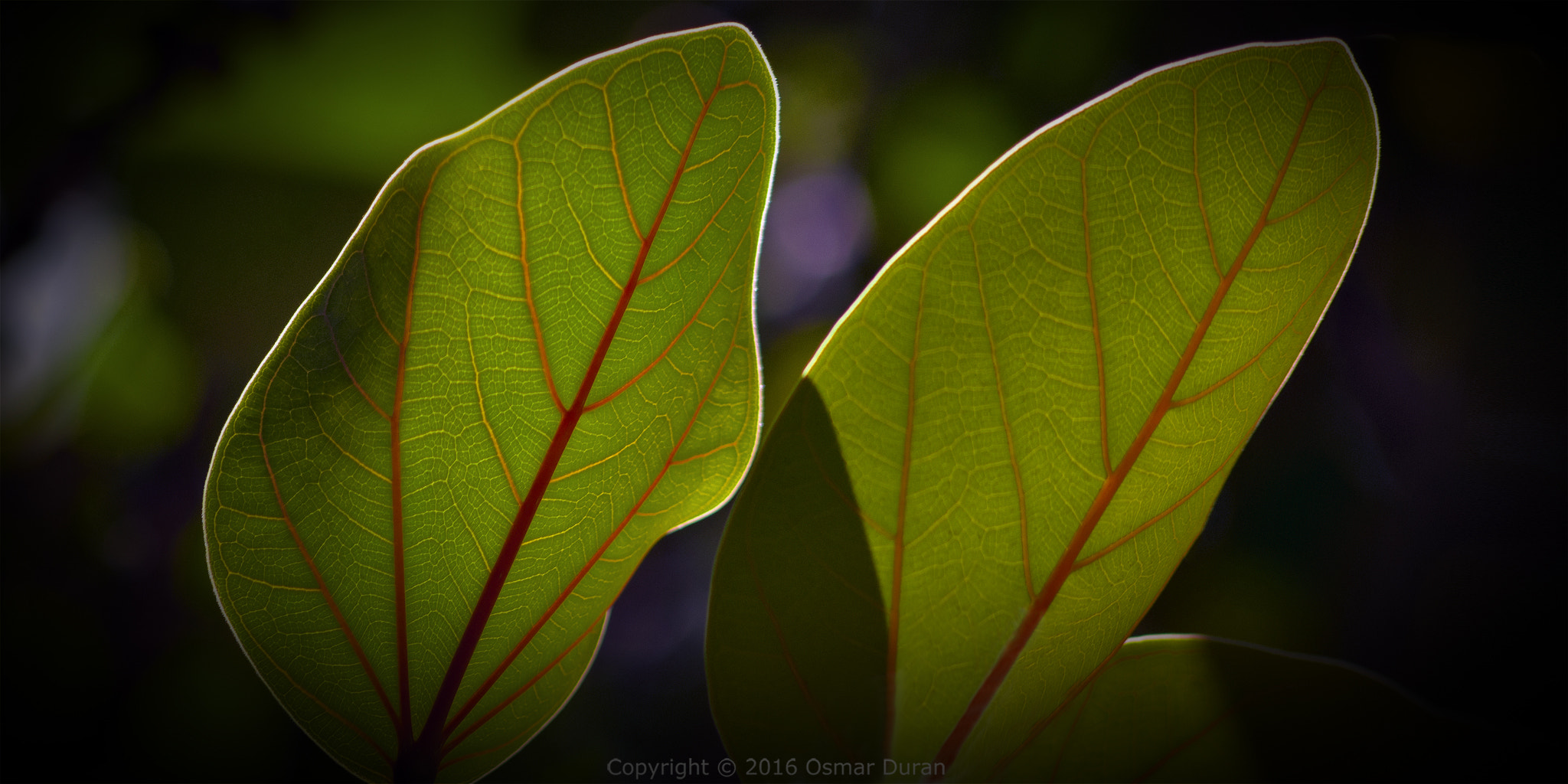 AF Nikkor 70-210mm f/4-5.6 sample photo. Structures photography