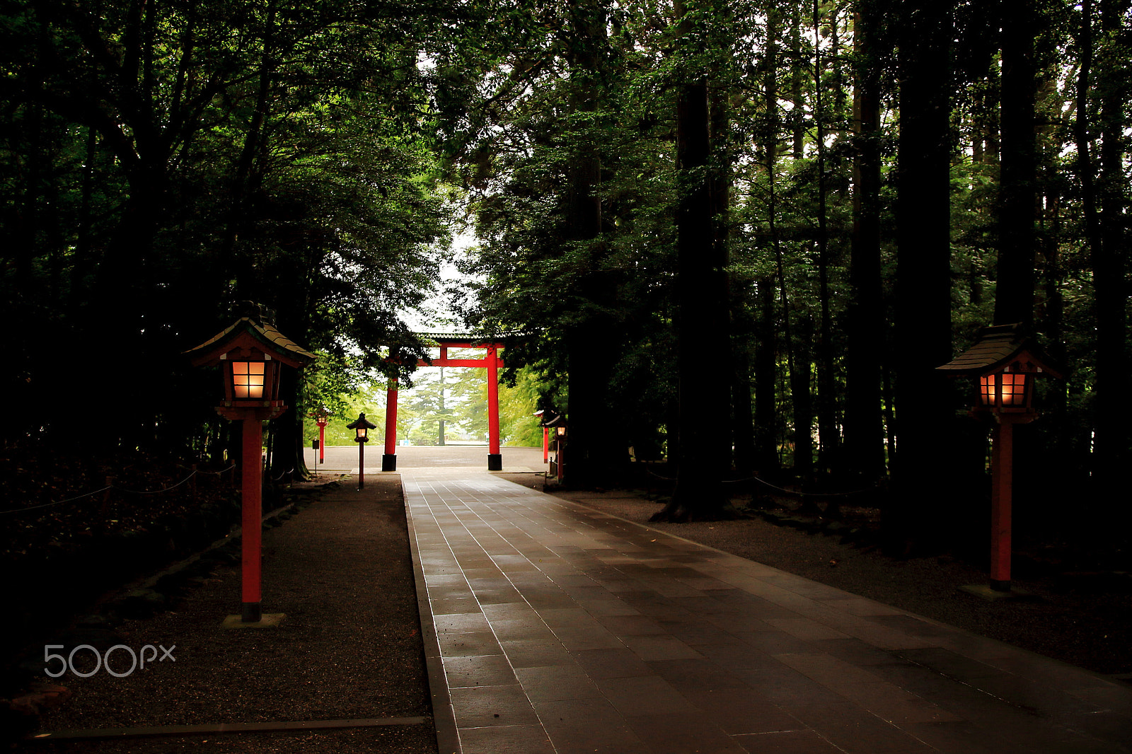 Canon EOS 700D (EOS Rebel T5i / EOS Kiss X7i) + Sigma 18-35mm f/1.8 DC HSM sample photo. Japanese shinto shrine approach photography