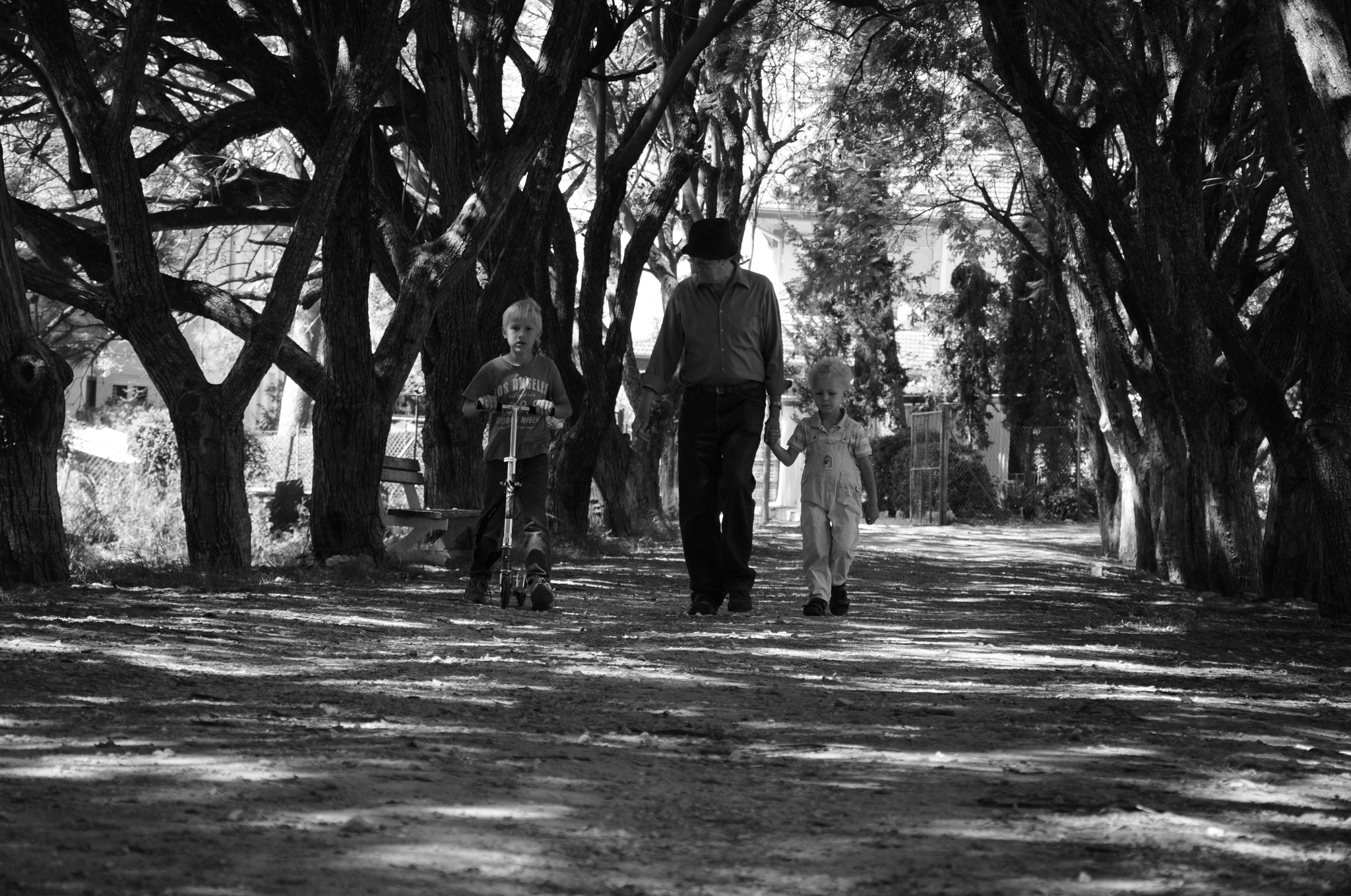 Nikon D5000 sample photo. Zichron y'aakov, israel photography