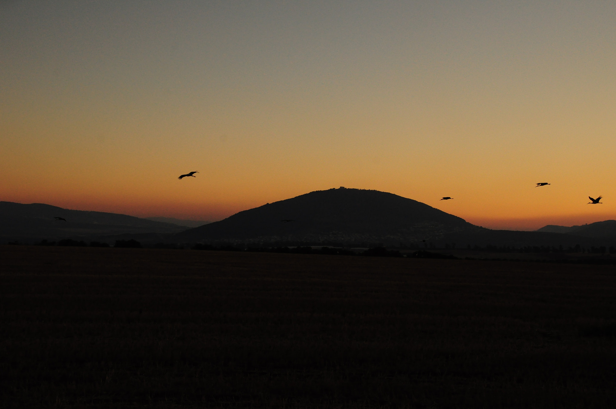 Nikon D5000 sample photo. Maount tavor photography