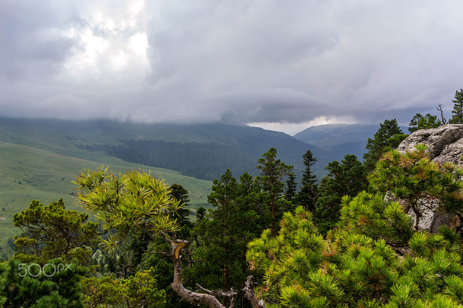 Sigma 17-70mm F2.8-4 DC Macro OS HSM | C sample photo. Lago-naki photography