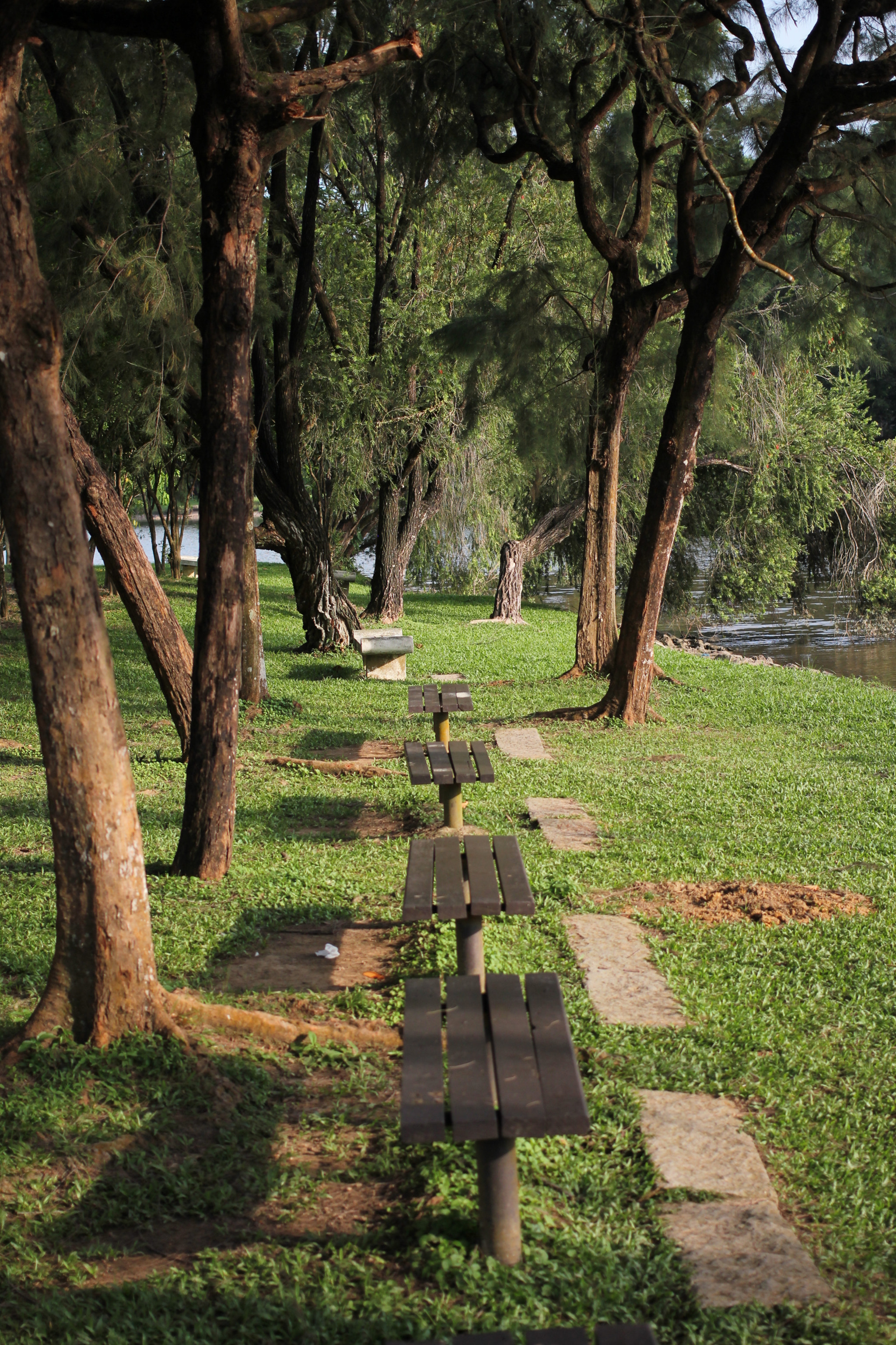 Canon EOS 550D (EOS Rebel T2i / EOS Kiss X4) + Canon EF 40mm F2.8 STM sample photo. Empty bench, empty memories.... photography