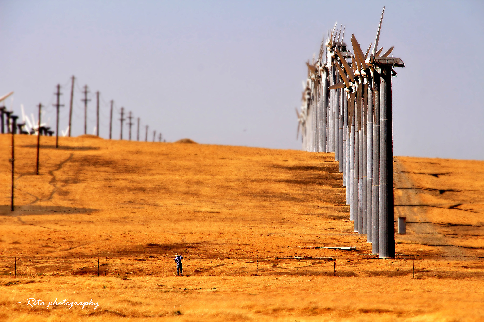 Canon EF 22-55mm f/4-5.6 USM sample photo. Windmills photography