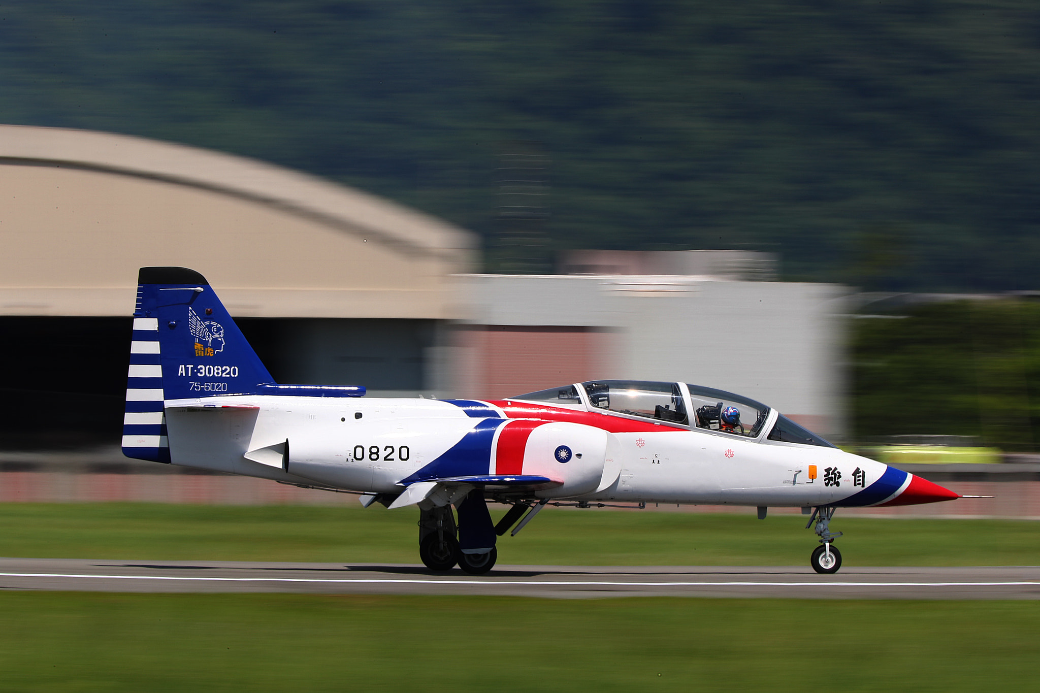 Tamron SP 150-600mm F5-6.3 Di VC USD sample photo. 雷虎副領隊降落 photography
